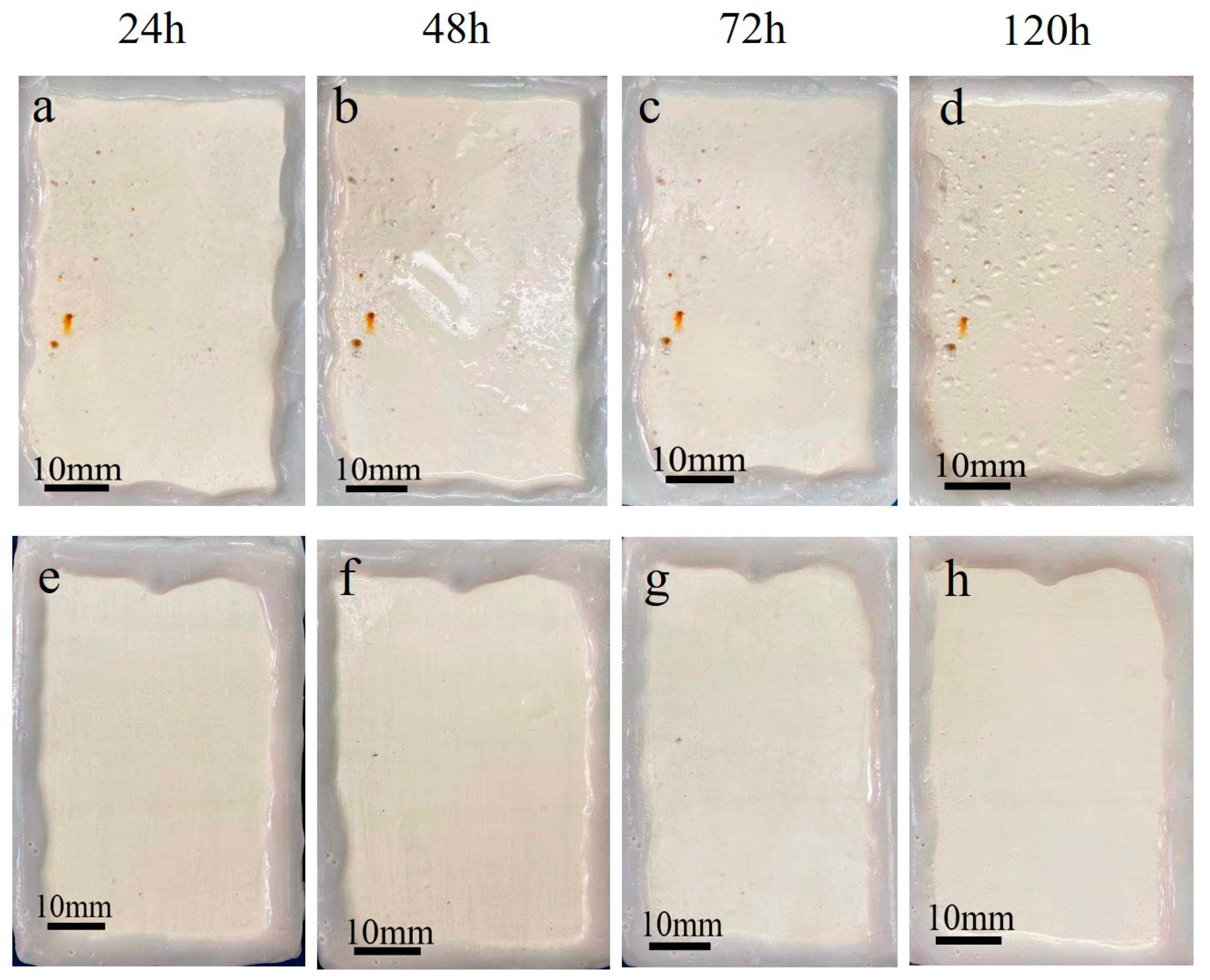 Coatings 11 01412 g013