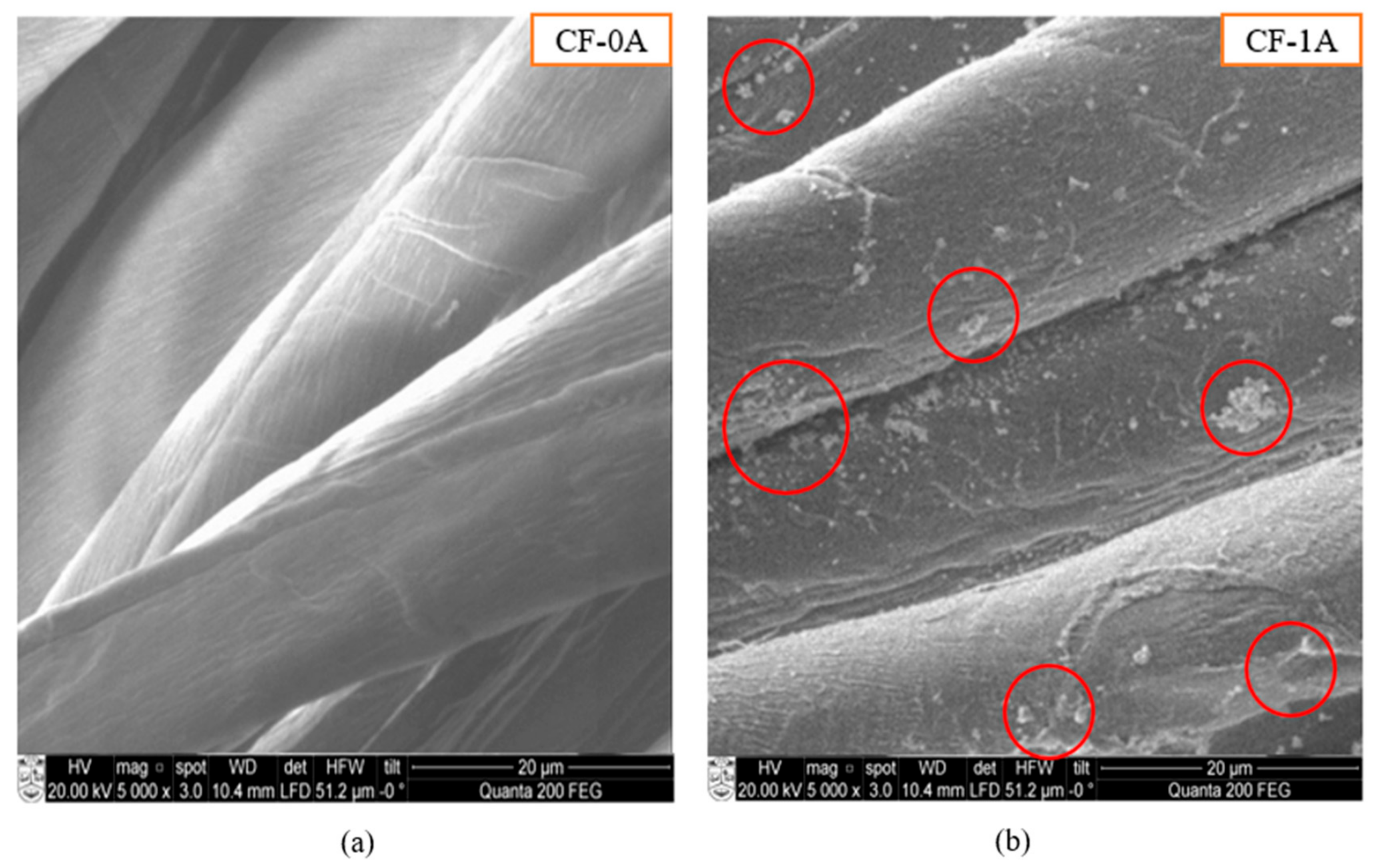 Coatings 11 01413 g003