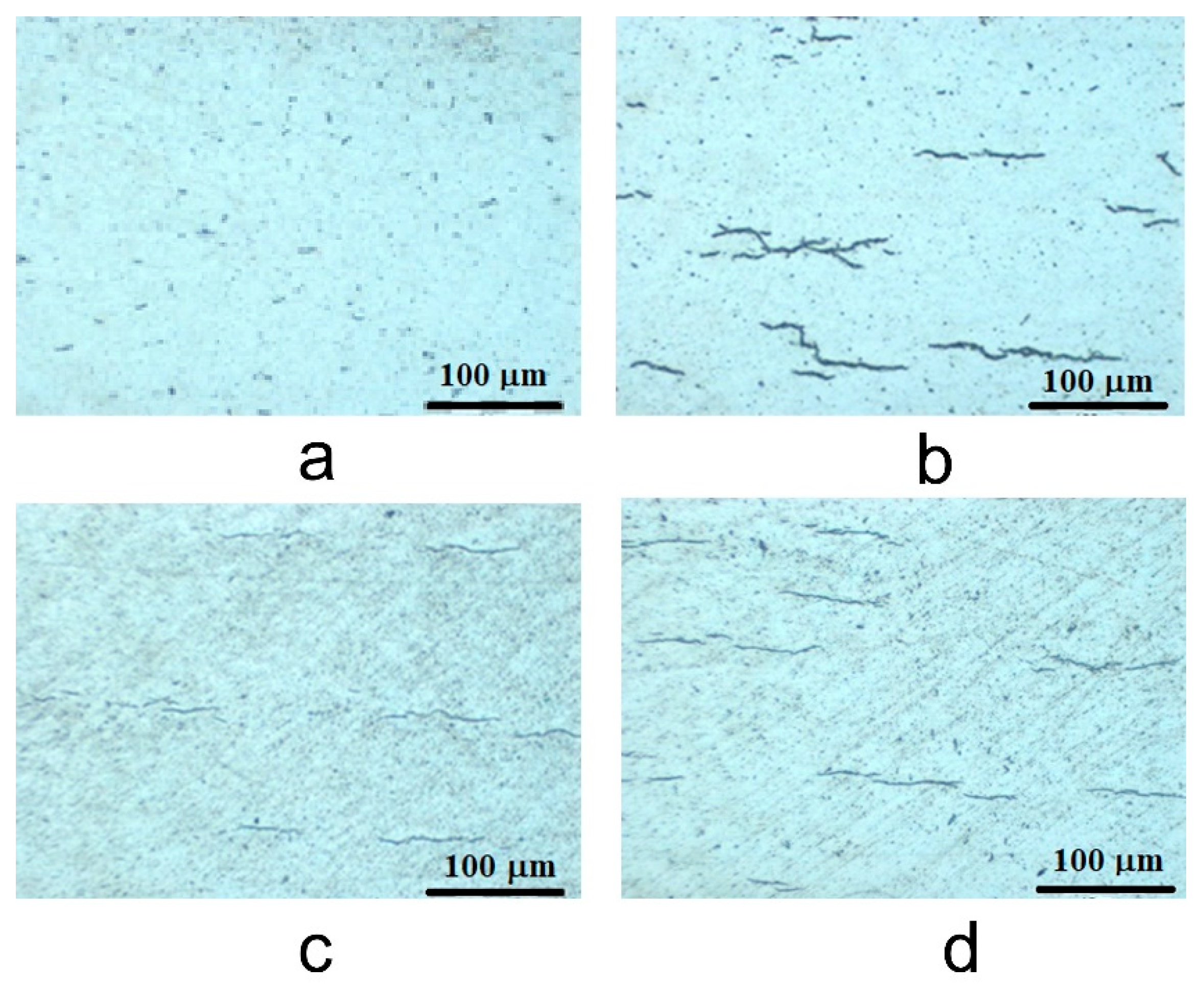 Coatings 11 01417 g004