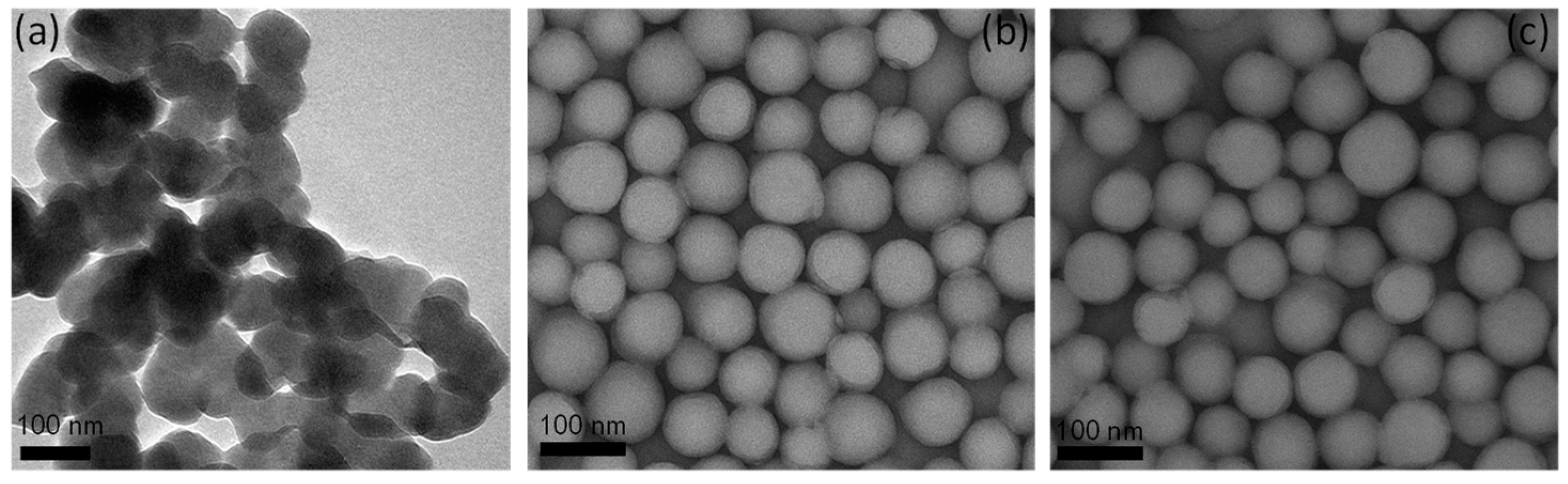 Coatings 11 01422 g005