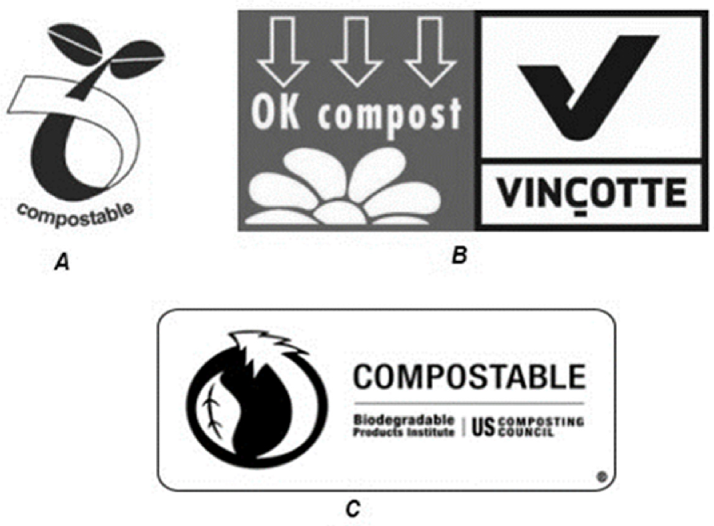 Coatings 11 01423 g002