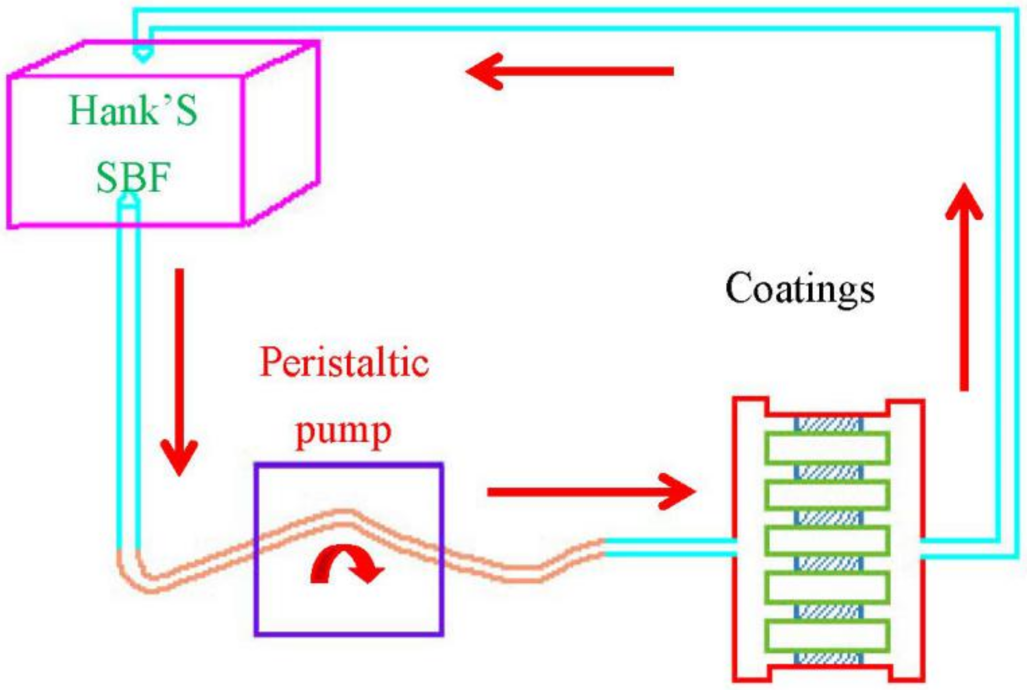 Coatings 11 01427 g001