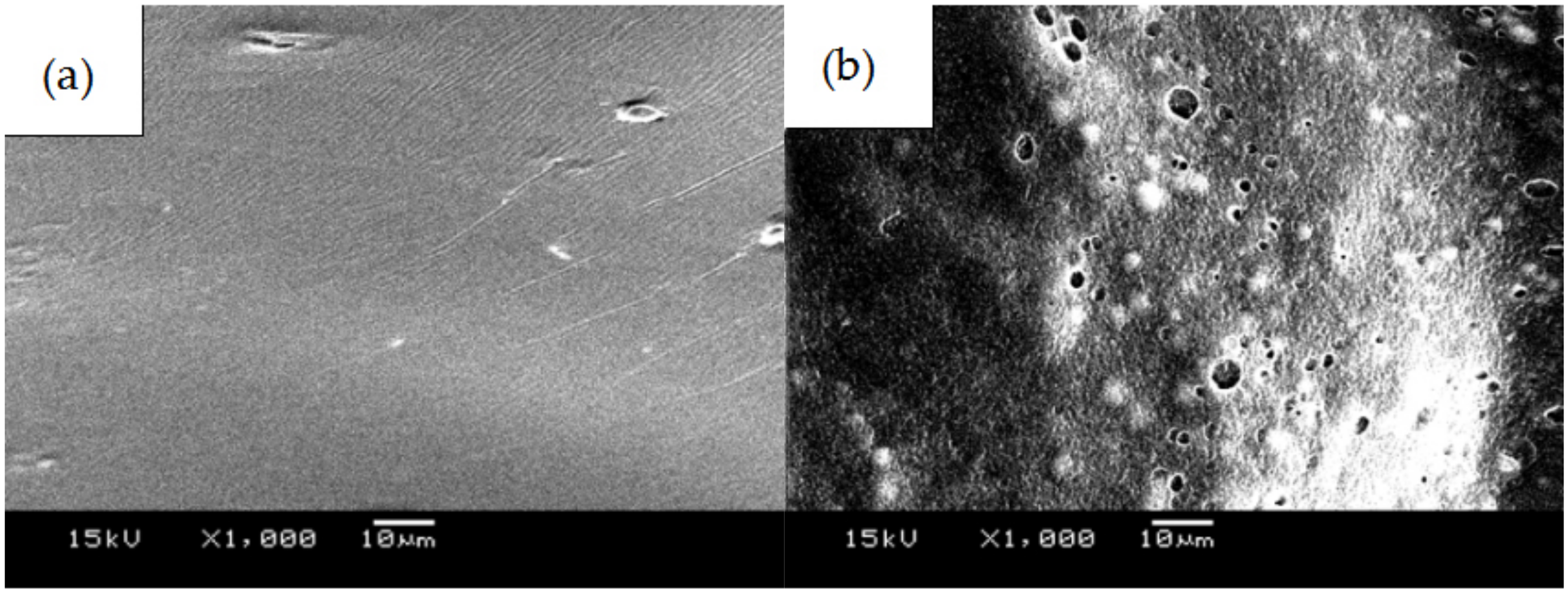 Coatings 11 01427 g005a