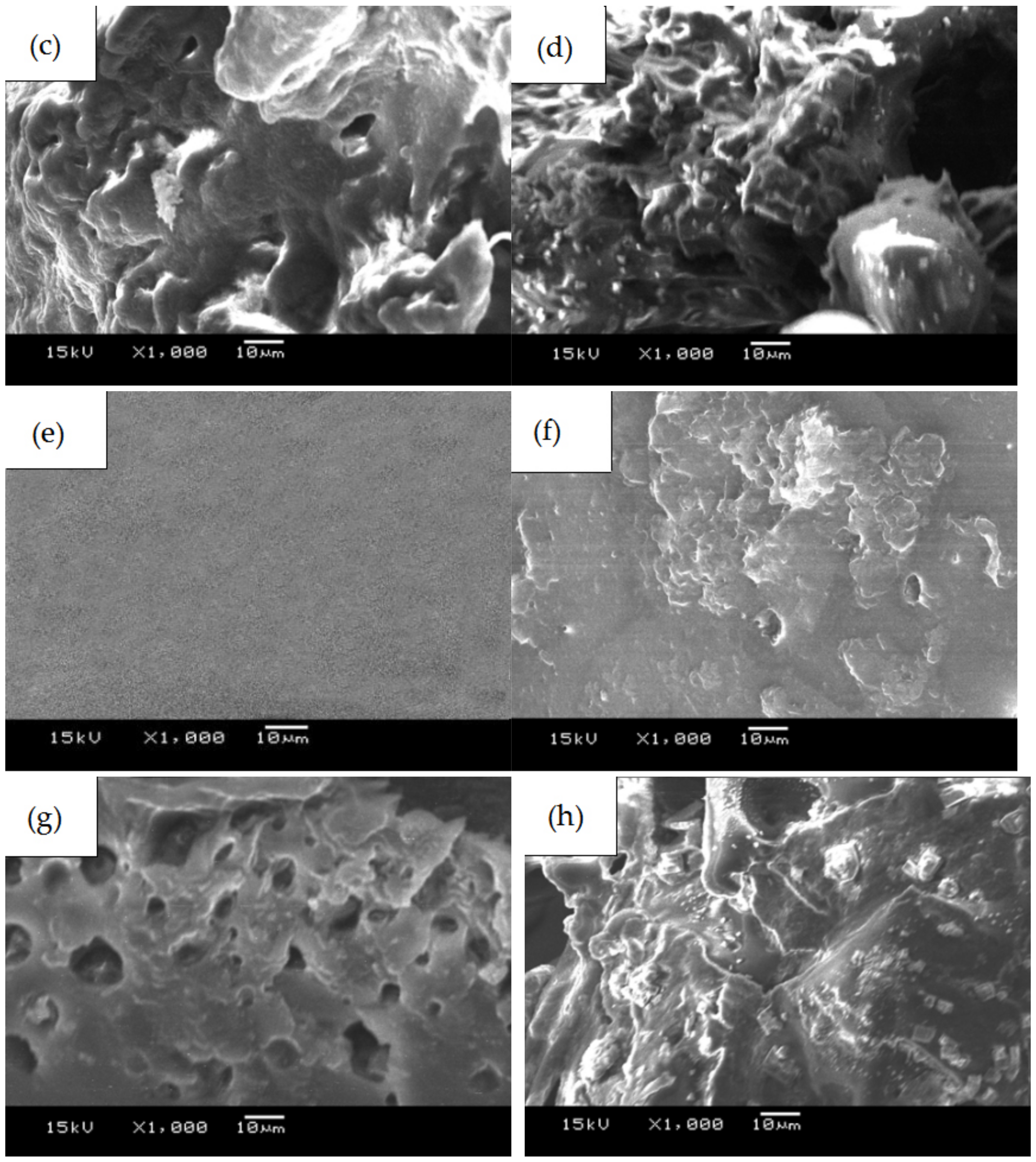 Coatings 11 01427 g005b