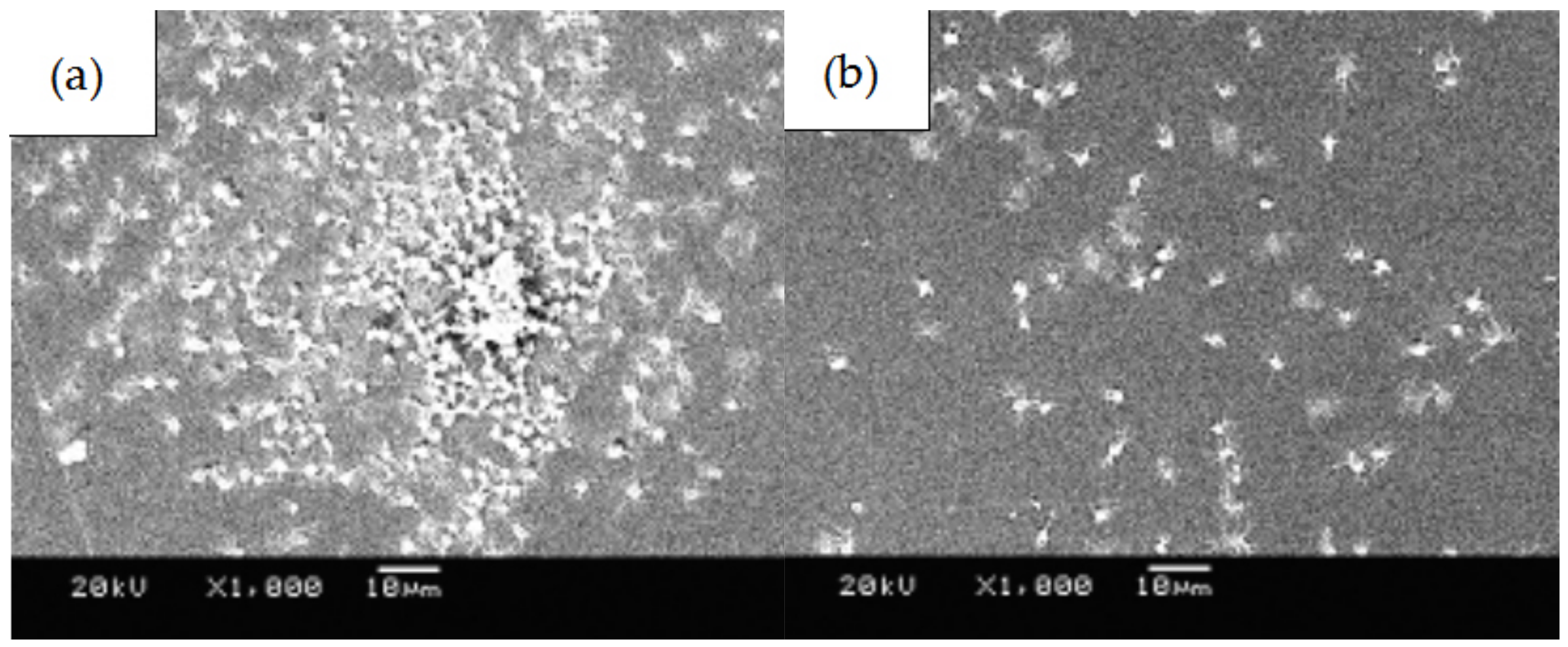 Coatings 11 01427 g011a
