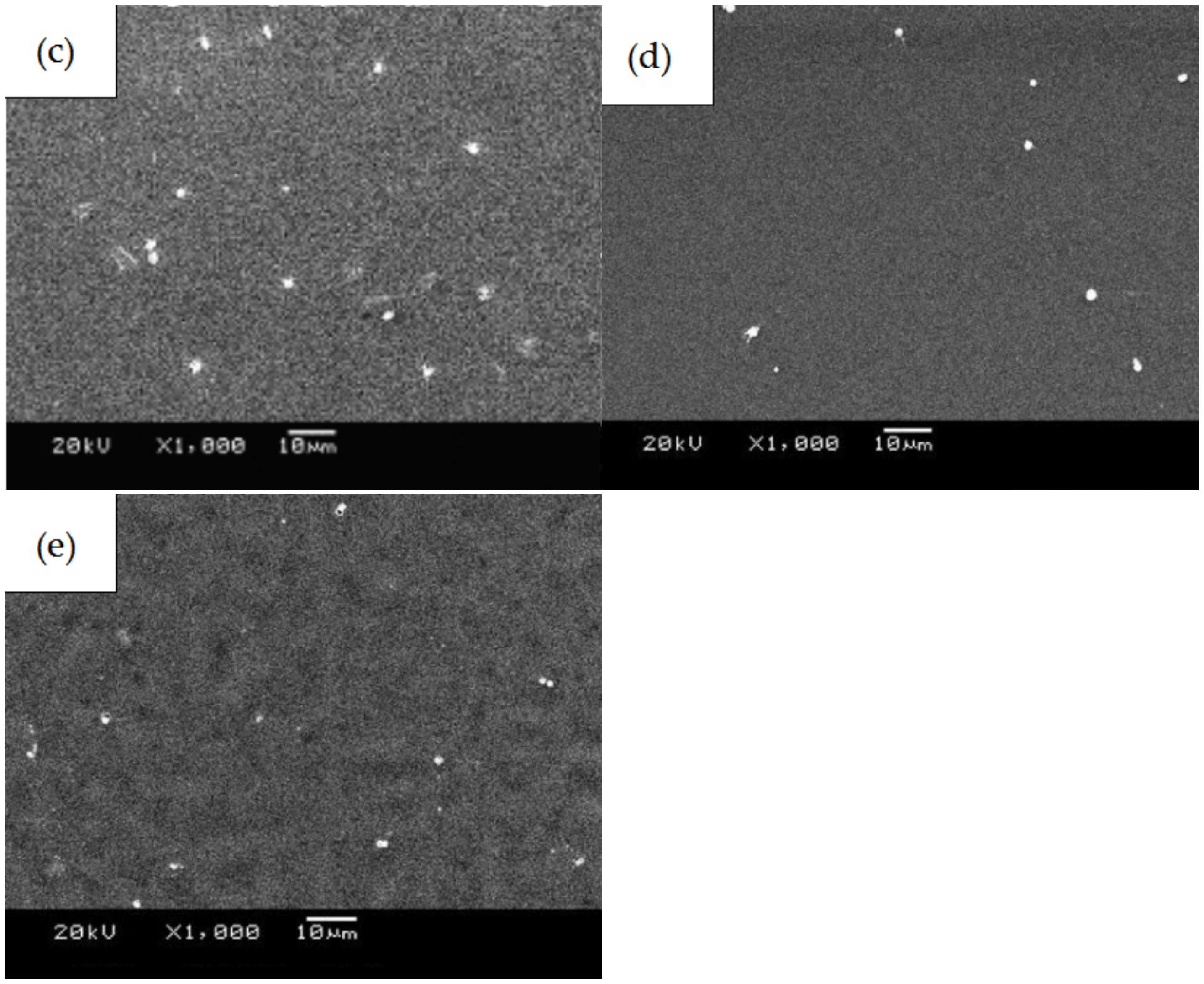 Coatings 11 01427 g011b