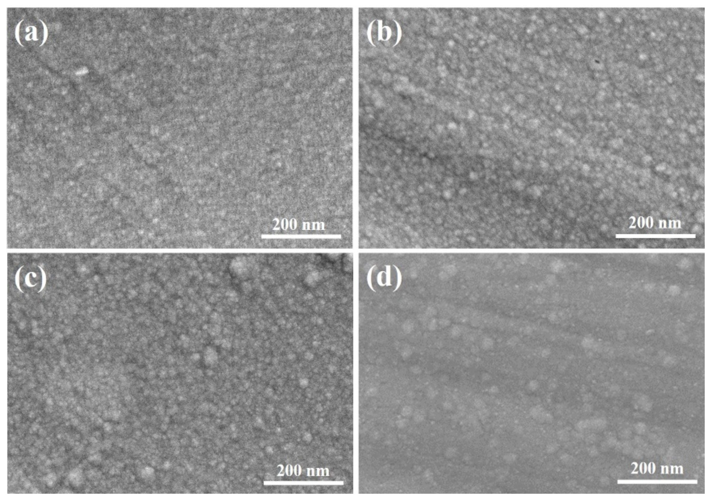 Coatings 11 01428 g003