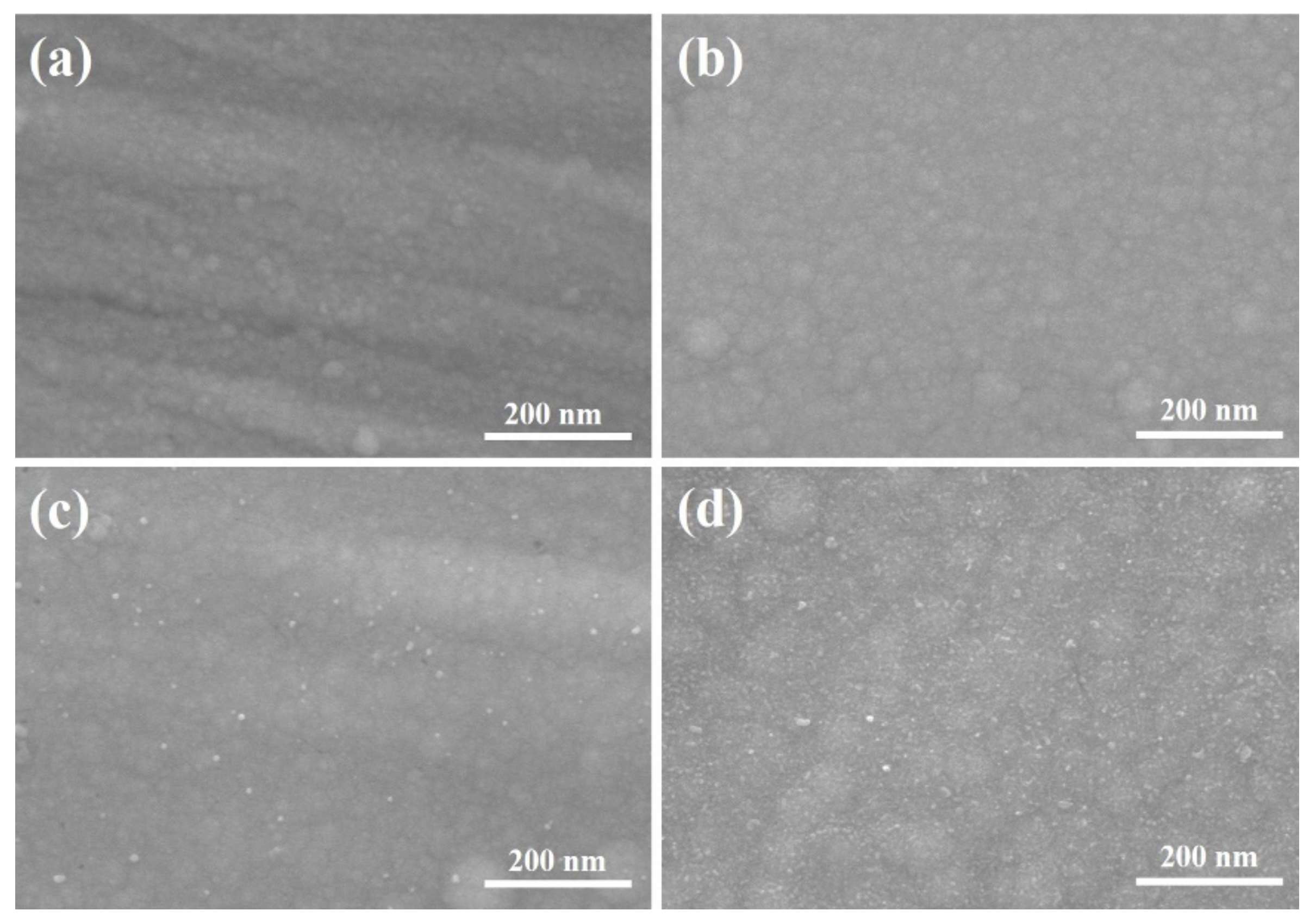 Coatings 11 01428 g004