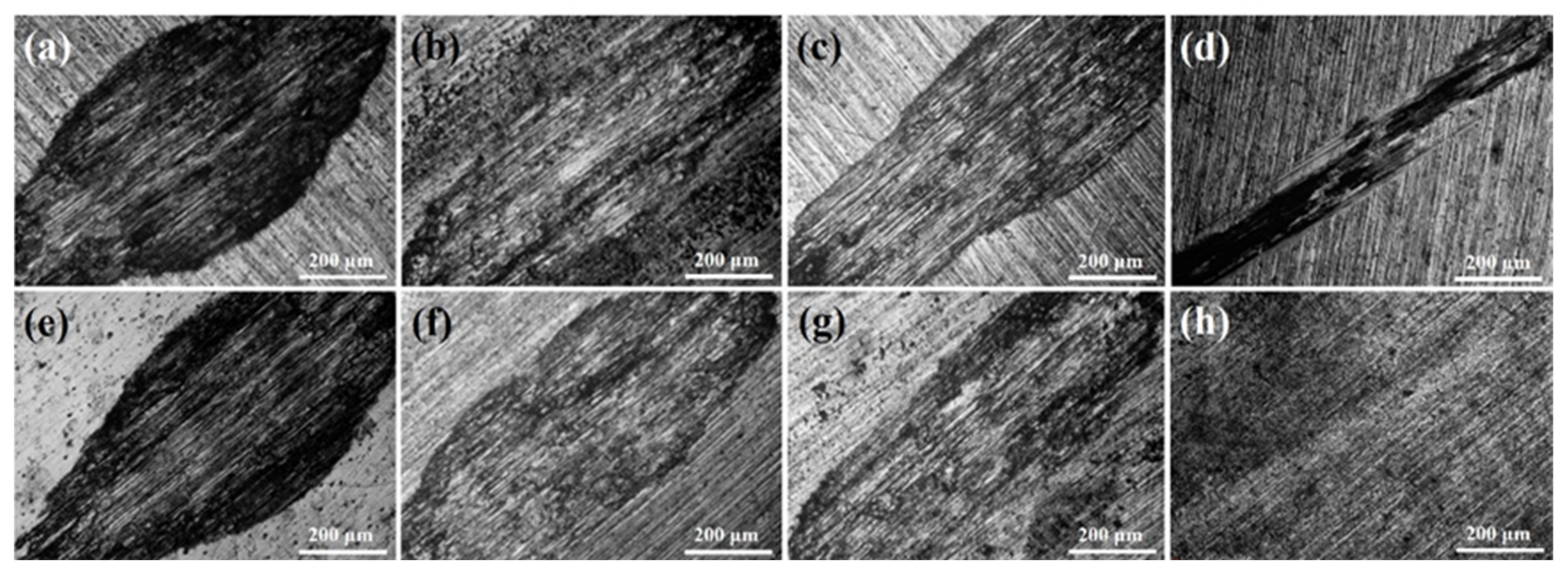 Coatings 11 01428 g010