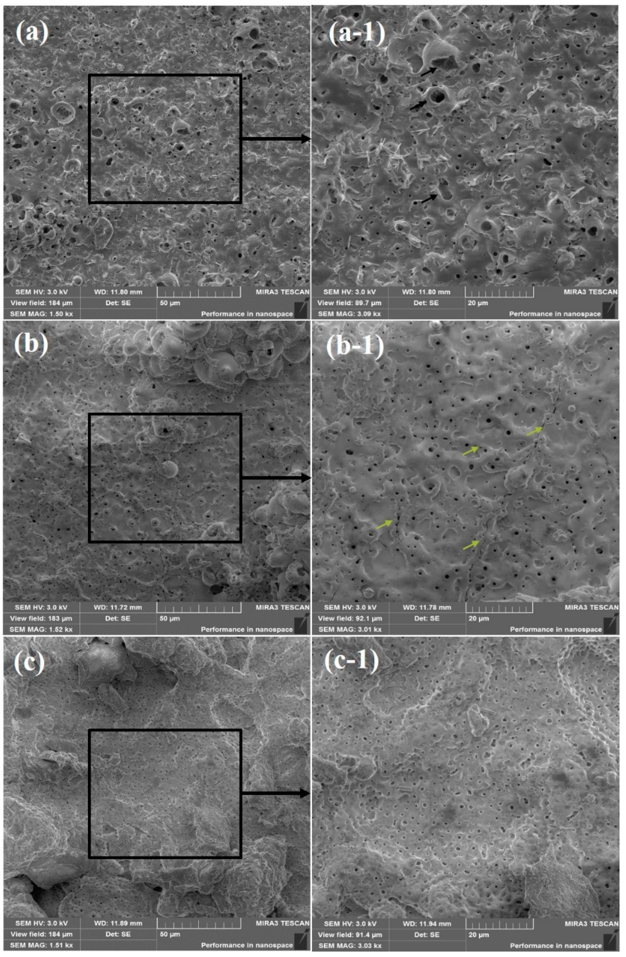 Coatings 11 01433 g003