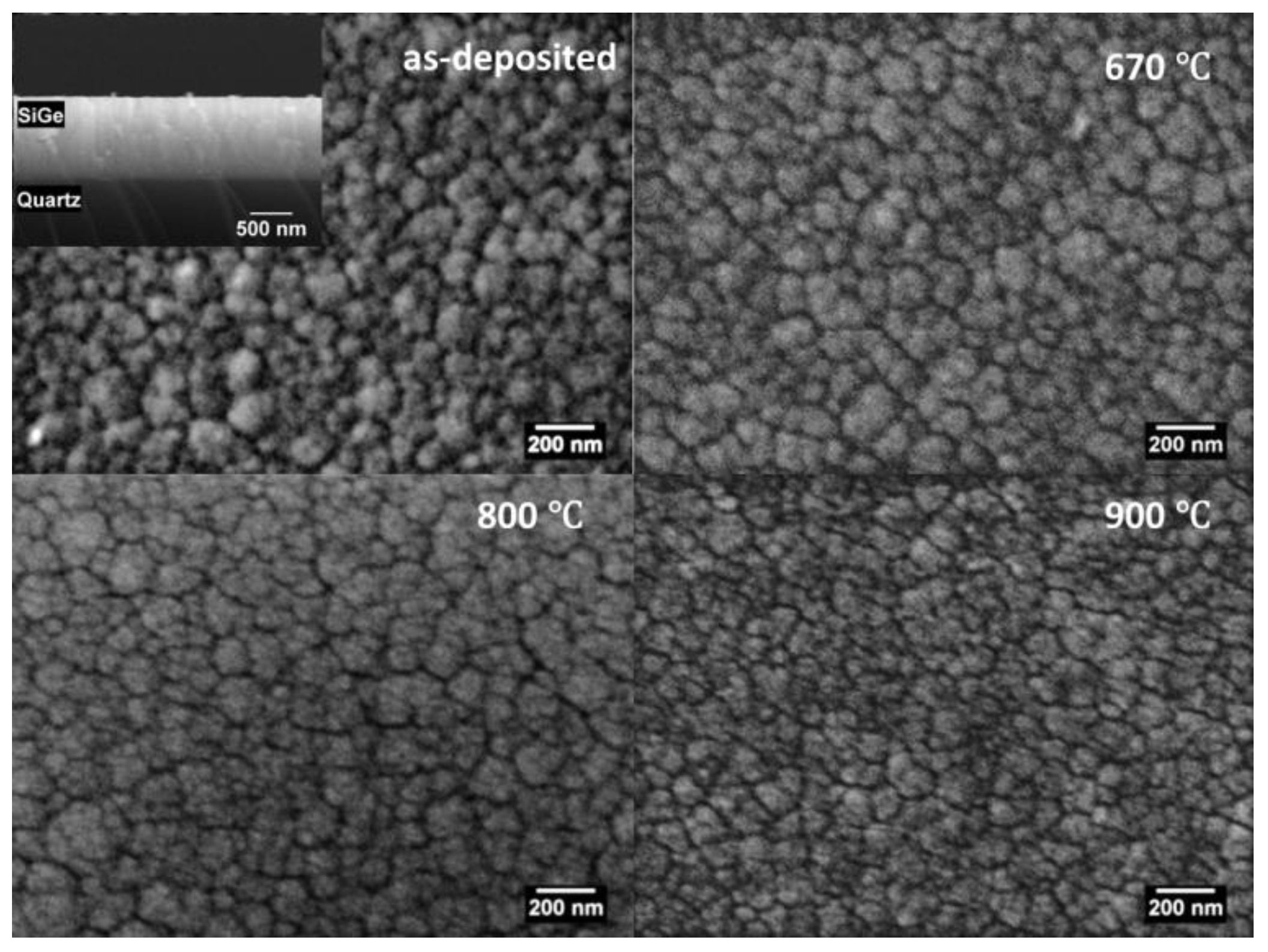 Coatings 11 01435 g006 550