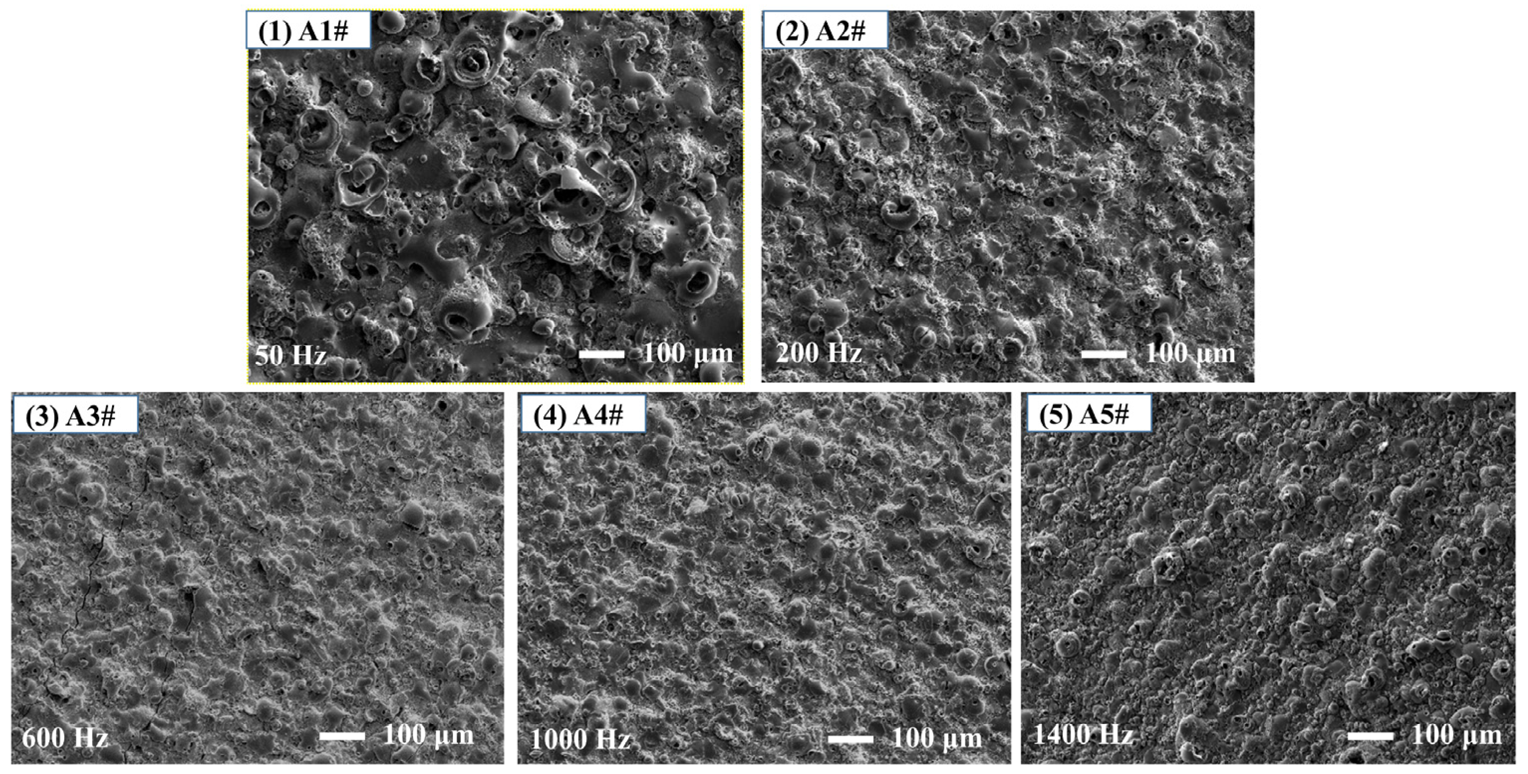 Coatings 11 01439 g003