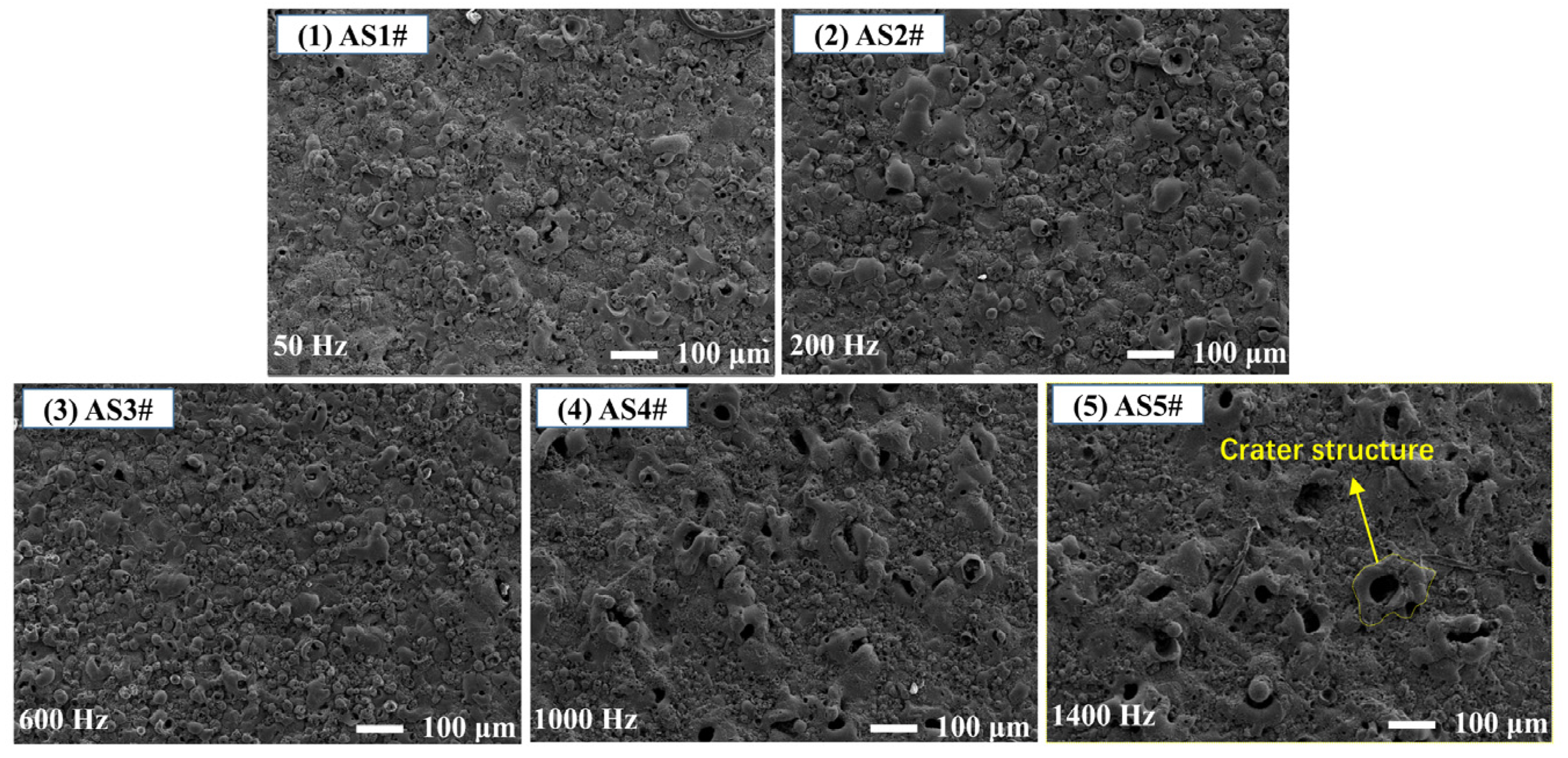Coatings 11 01439 g004