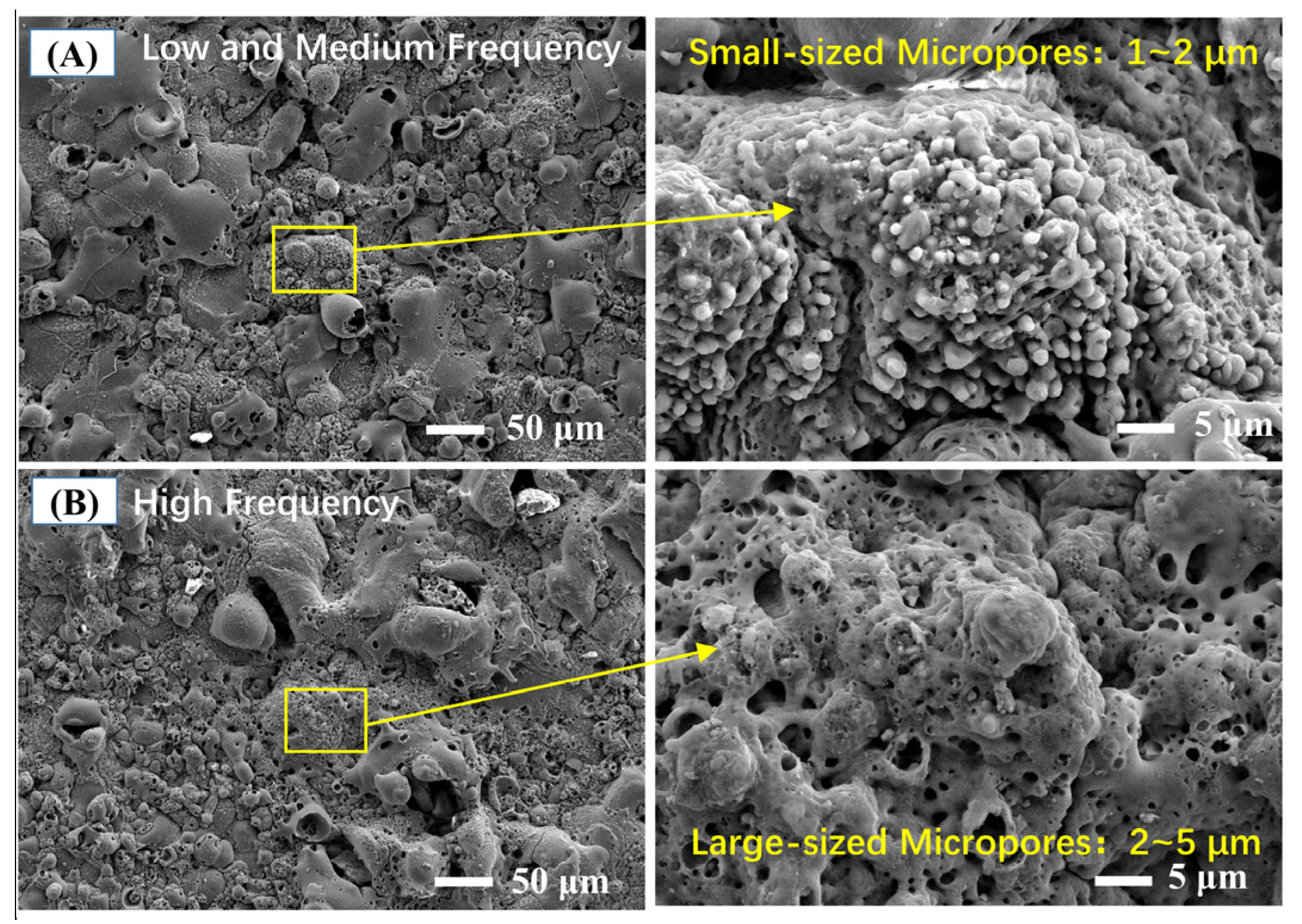Coatings 11 01439 g006