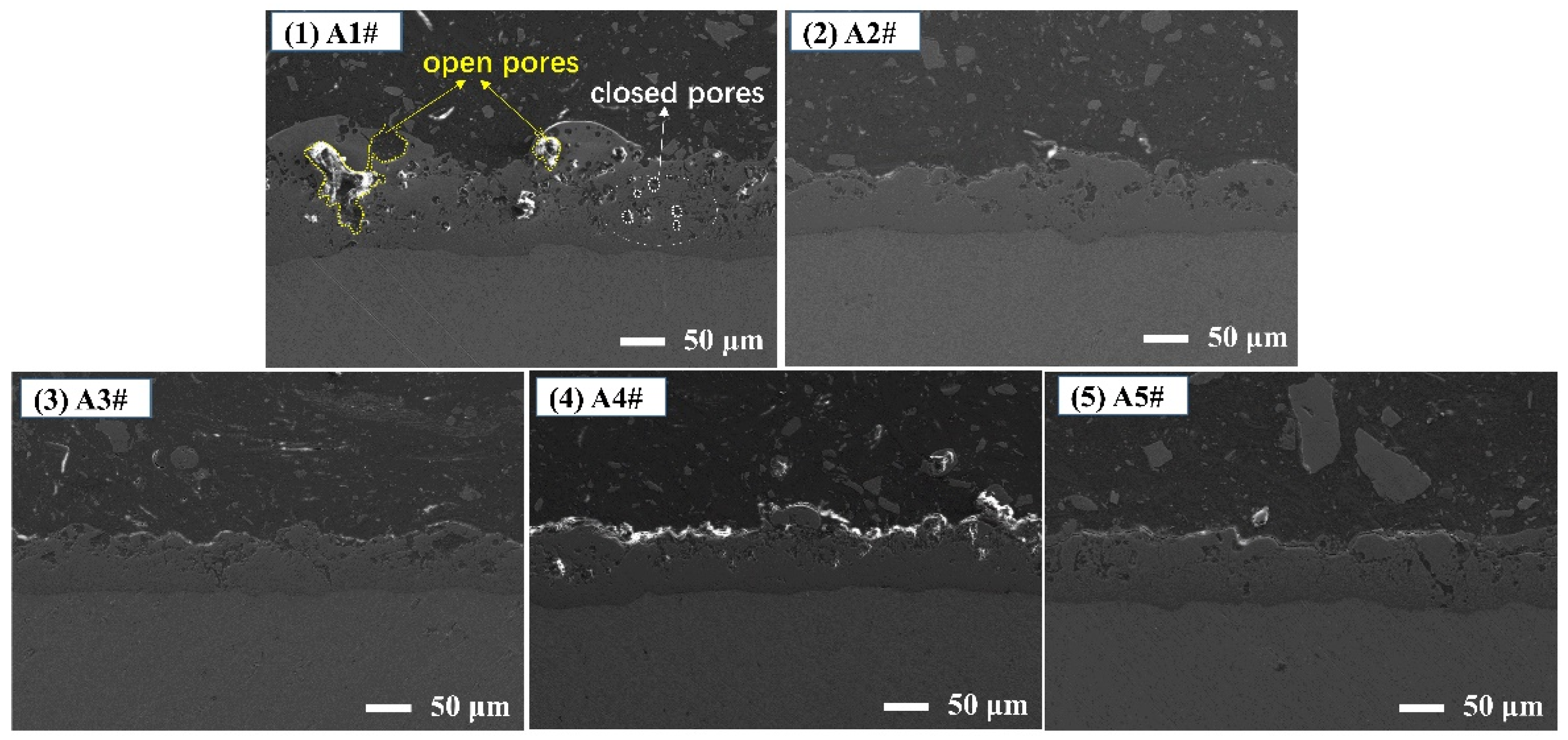 Coatings 11 01439 g007