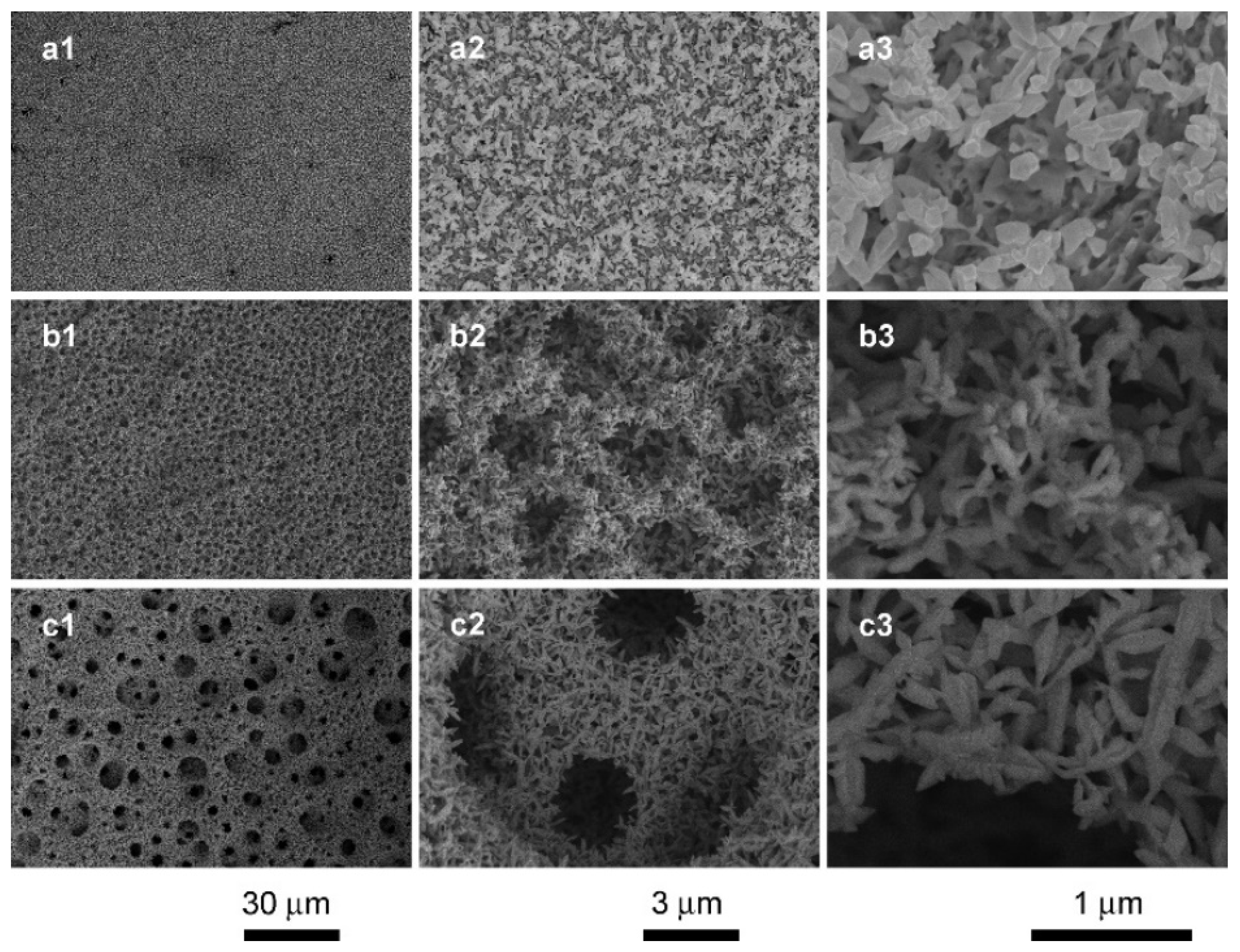Coatings 11 01440 g004