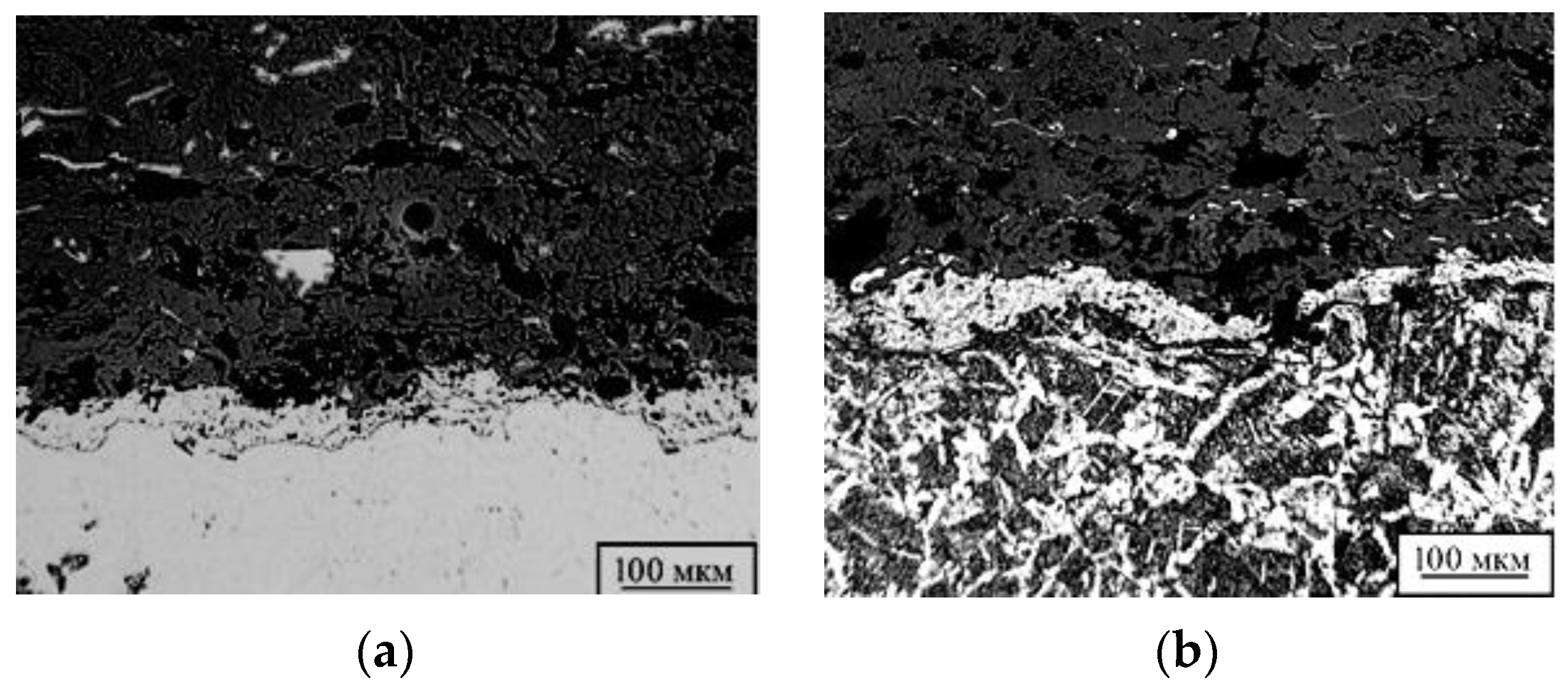 Coatings 11 01441 g005