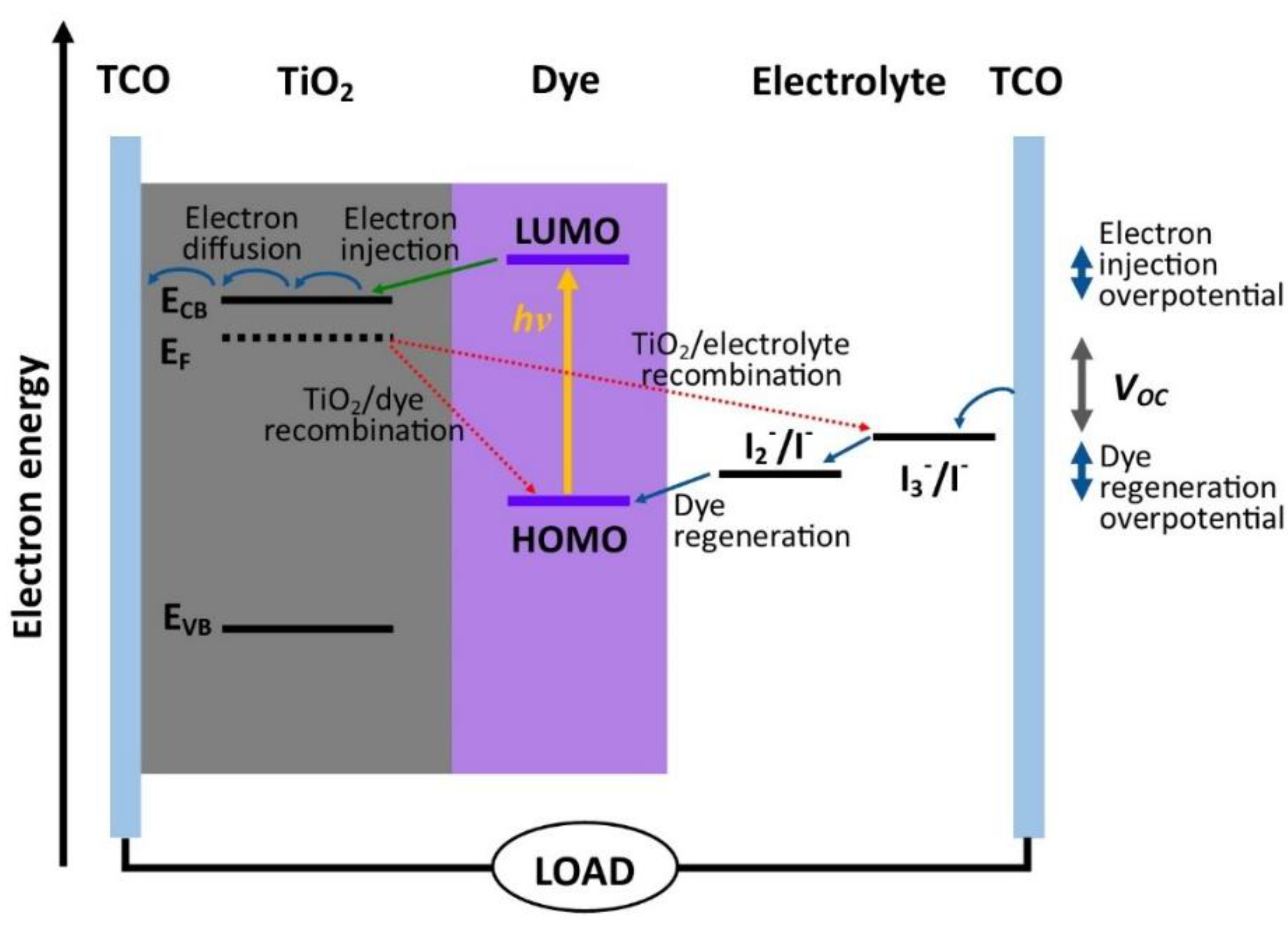 Coatings 11 01442 g001