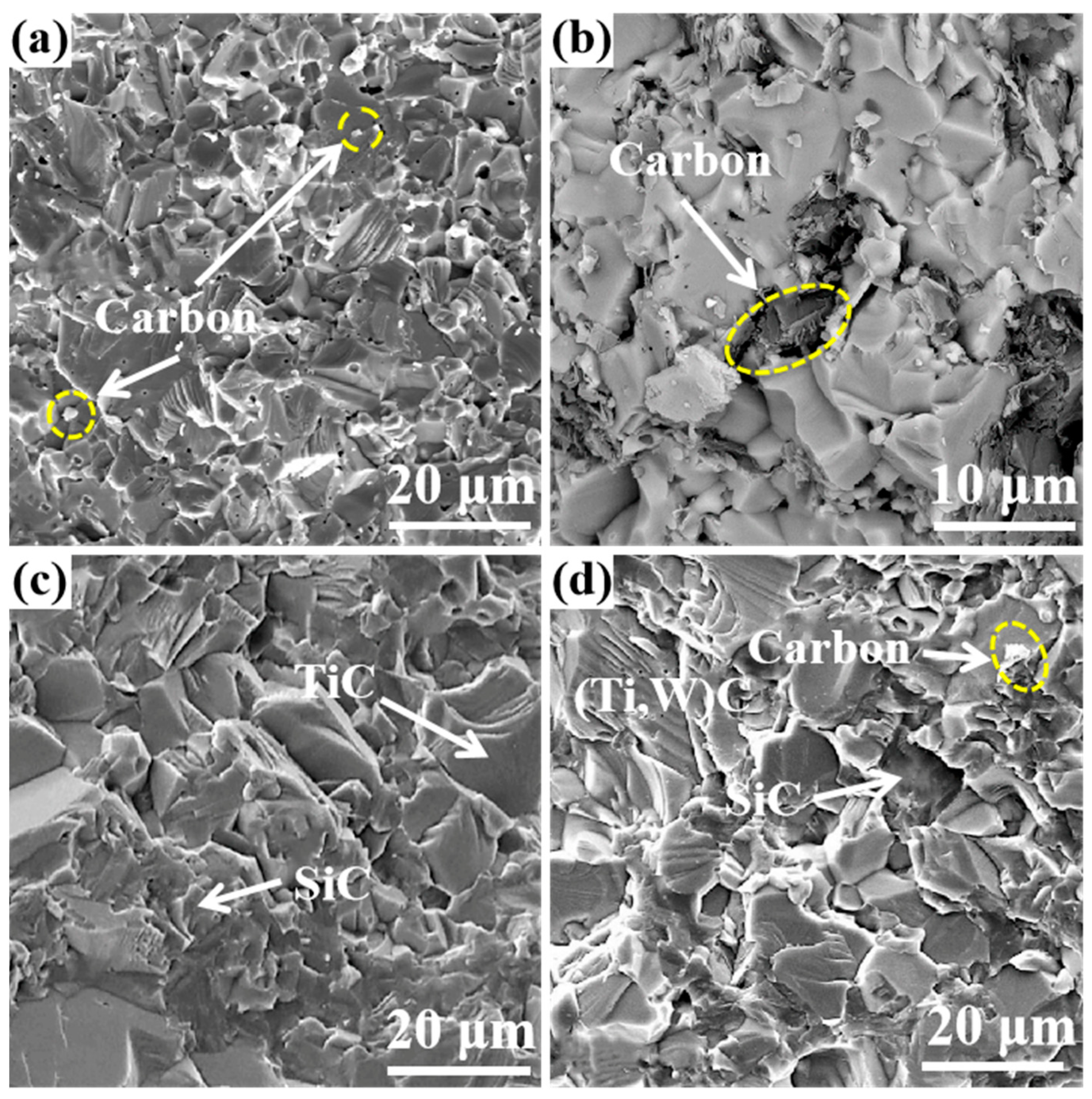 Coatings 11 01444 g005 550