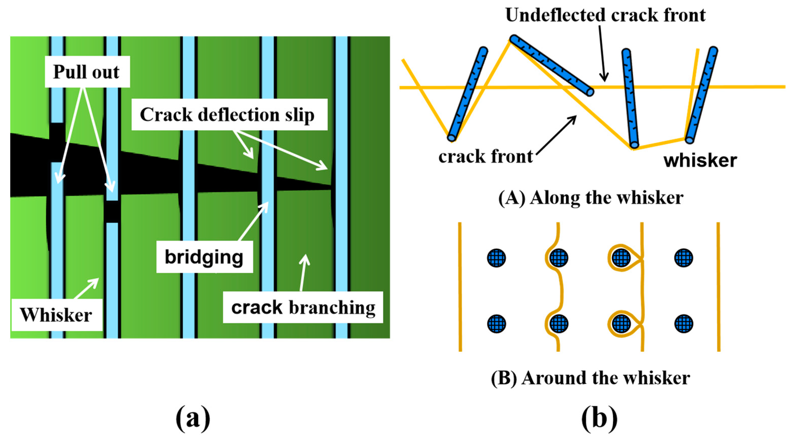 Coatings 11 01444 g010 550