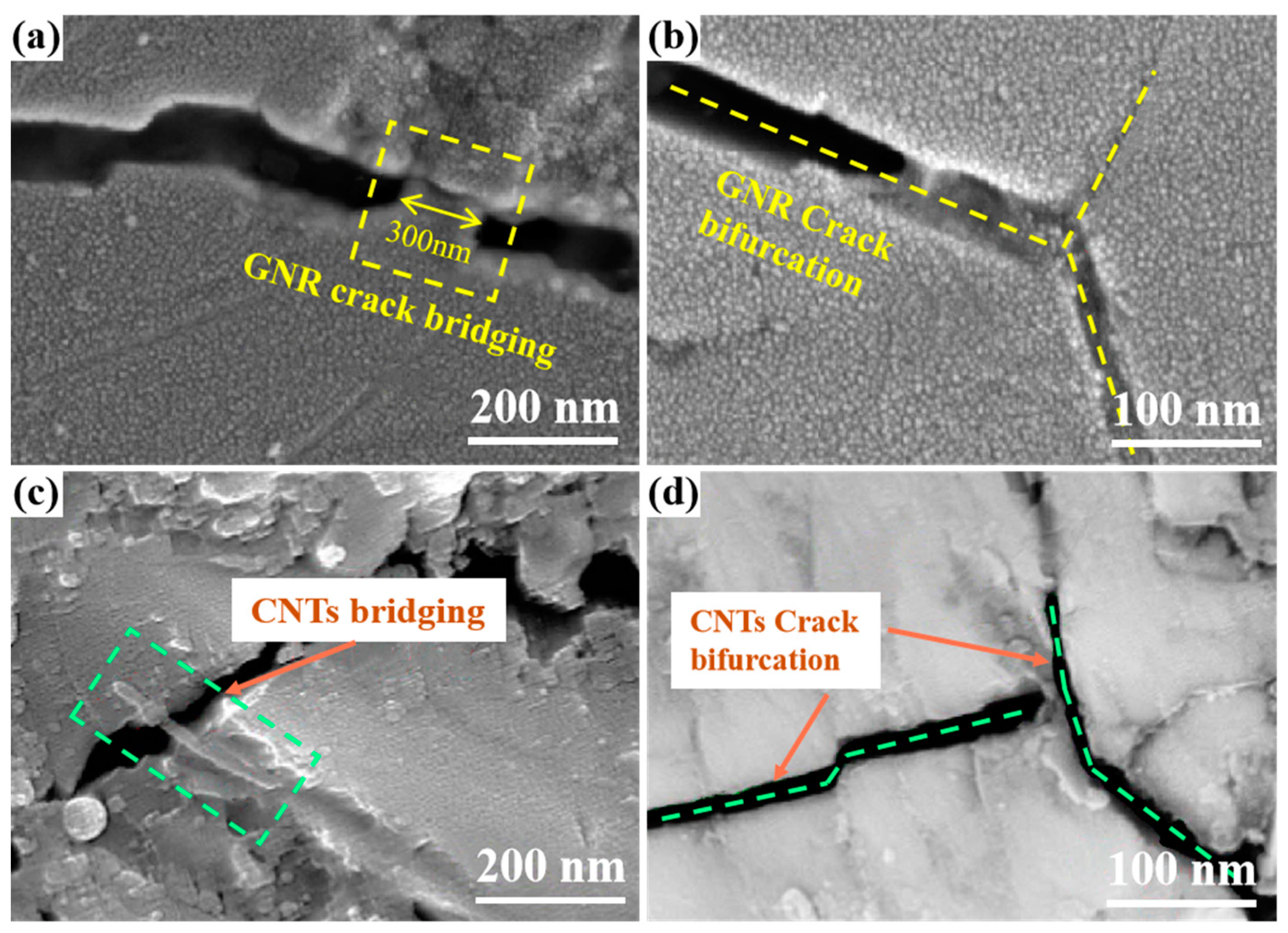 Coatings 11 01444 g012 550