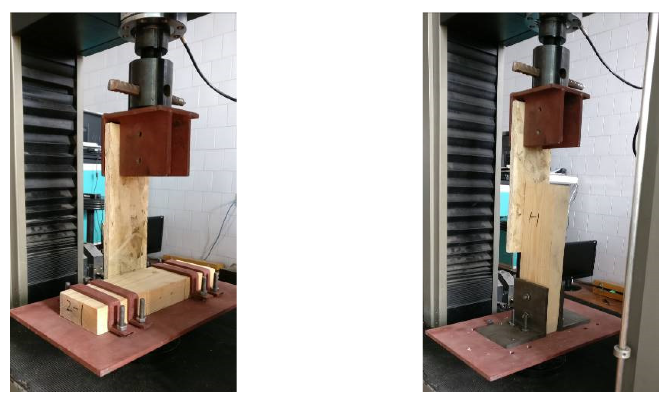 Coatings 11 01447 g005