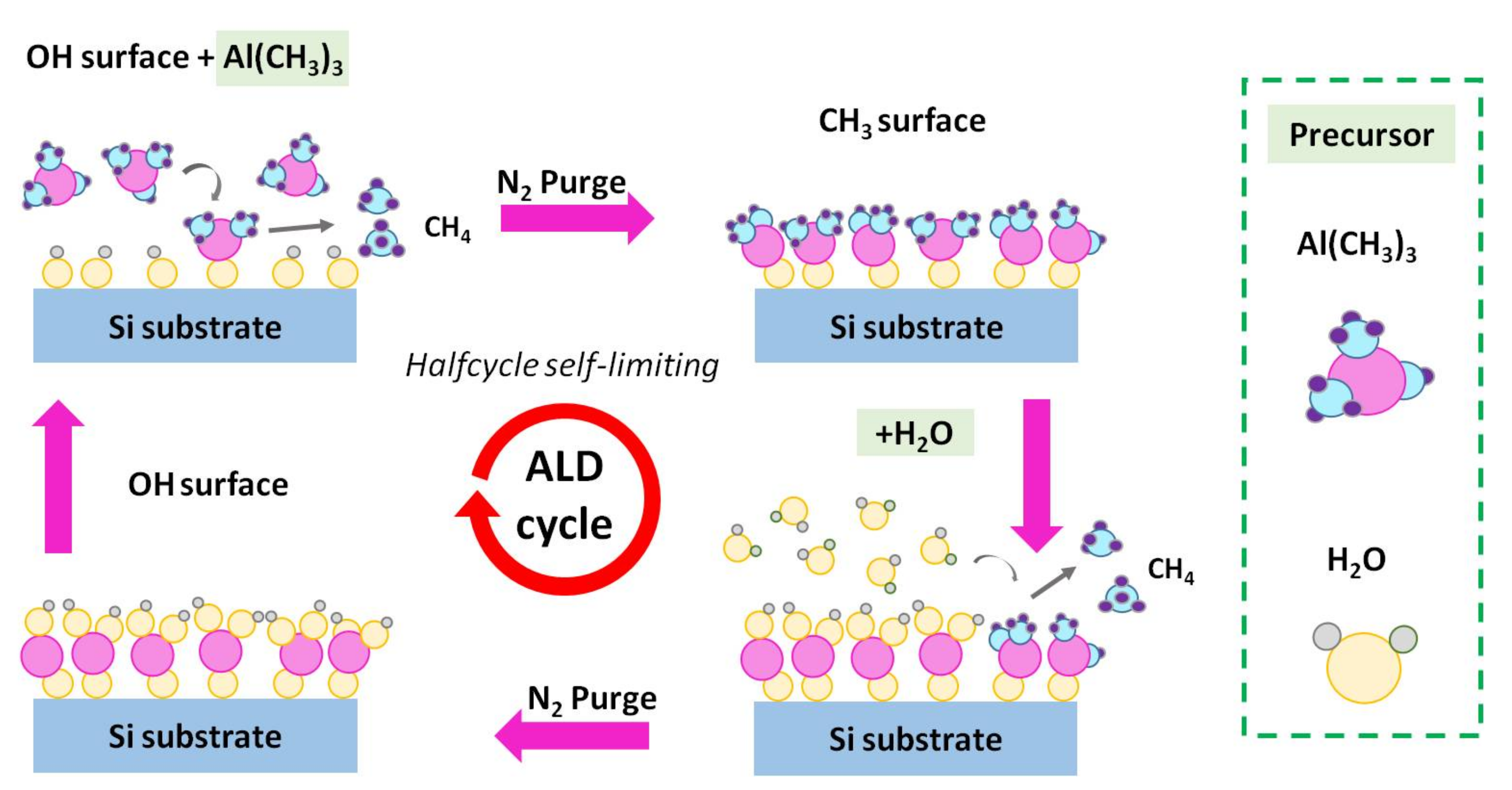 Coatings 11 01450 g004