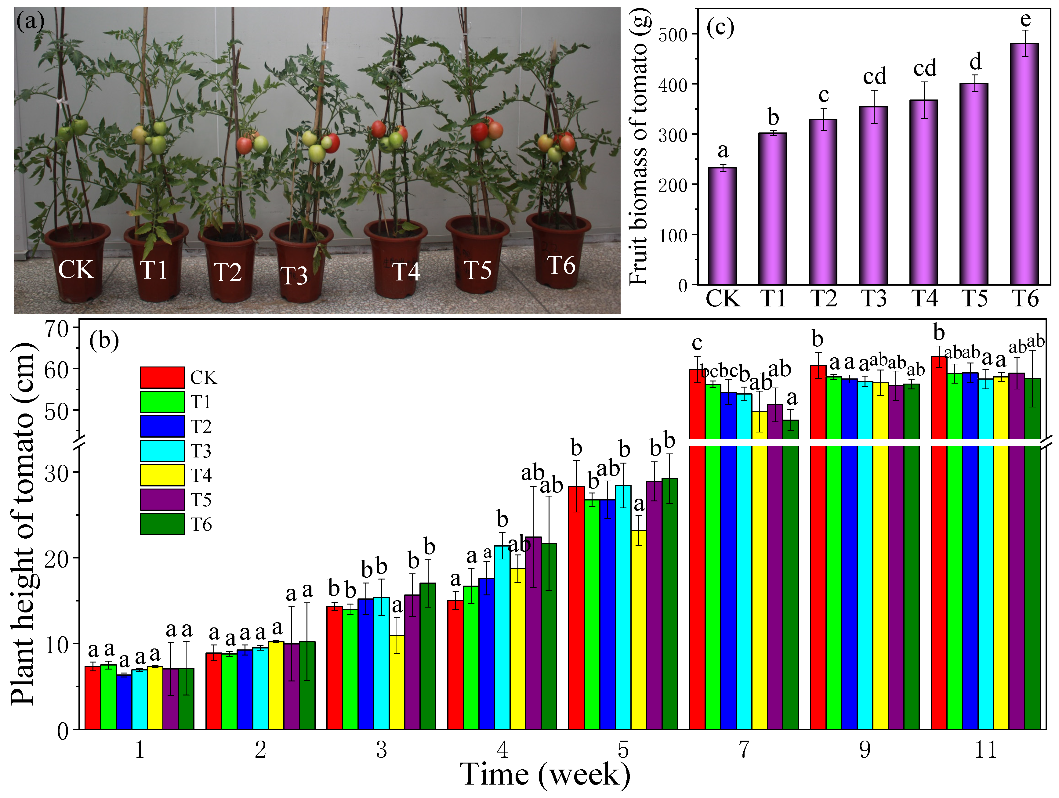 Coatings 11 01453 g002