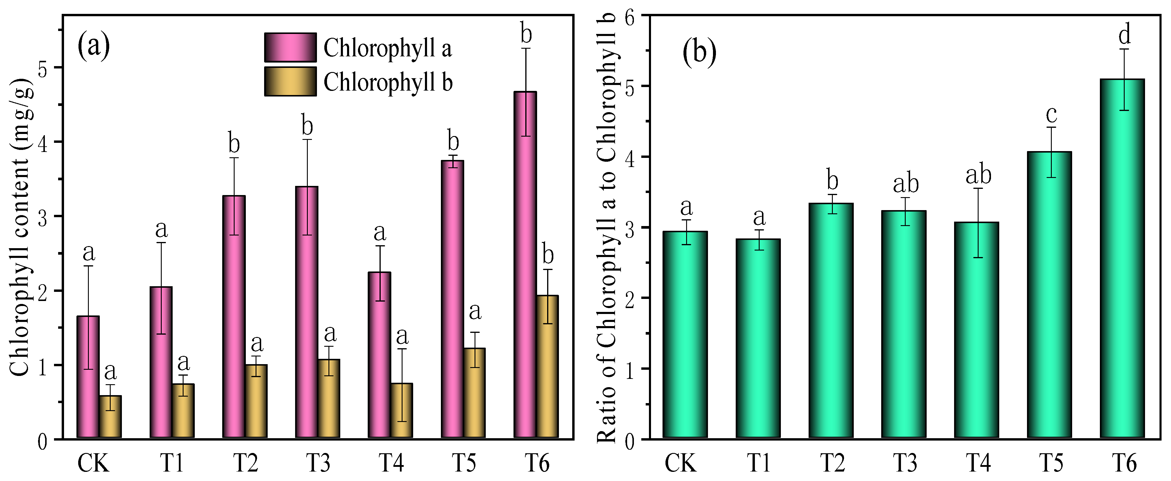 Coatings 11 01453 g004