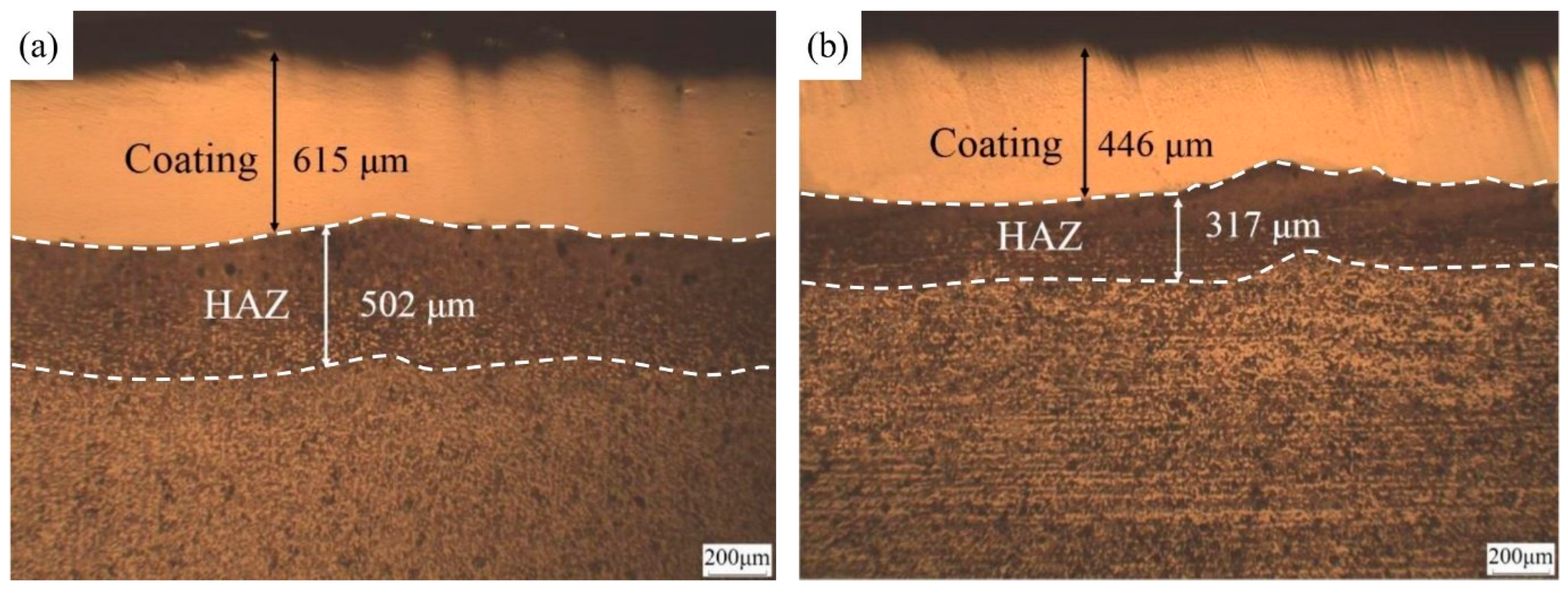 Coatings 11 01456 g004