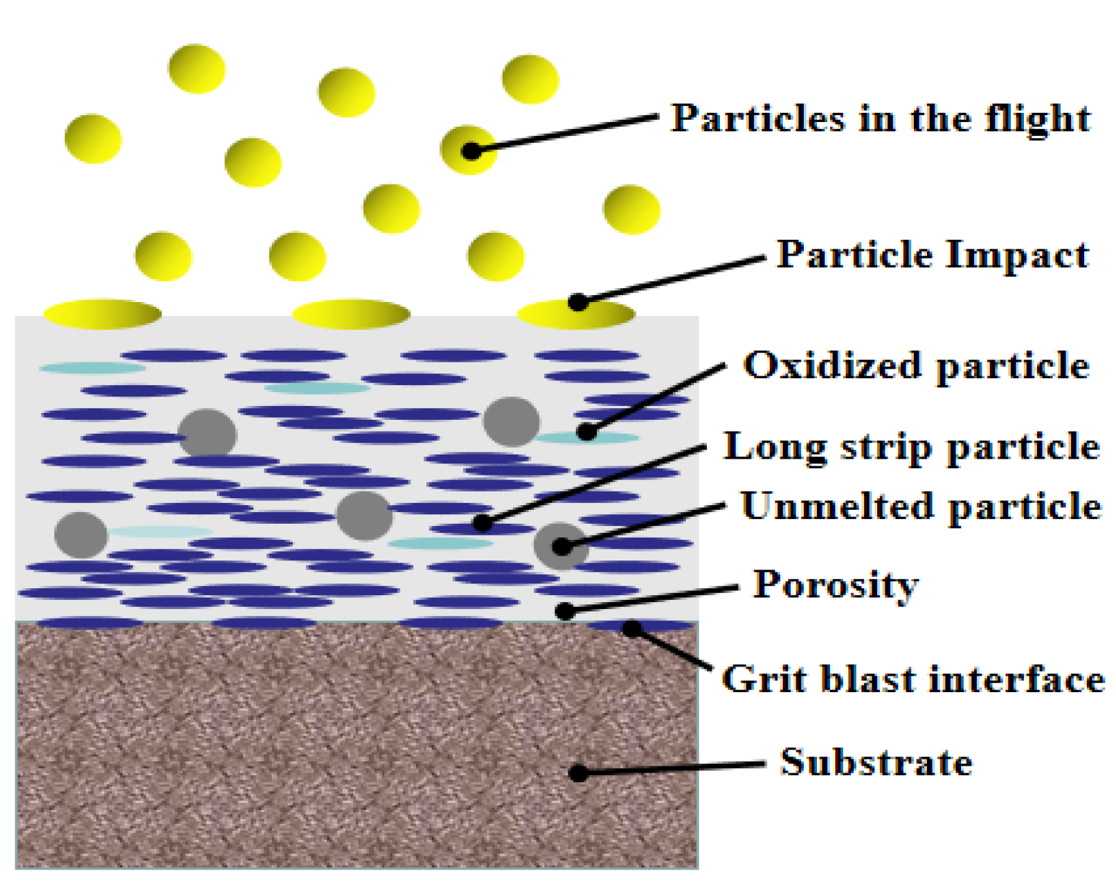 Coatings 11 01457 g003