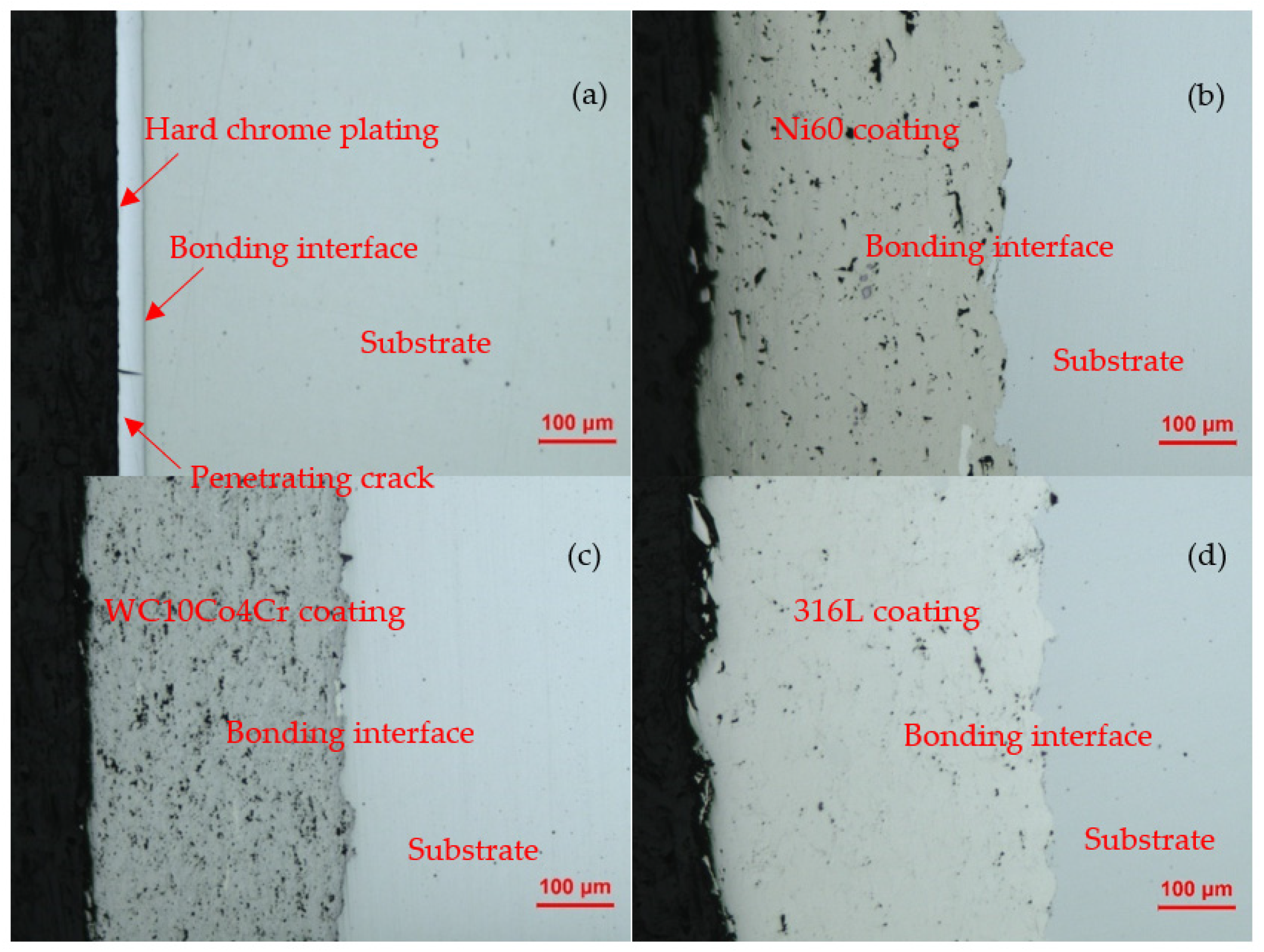Coatings 11 01457 g004