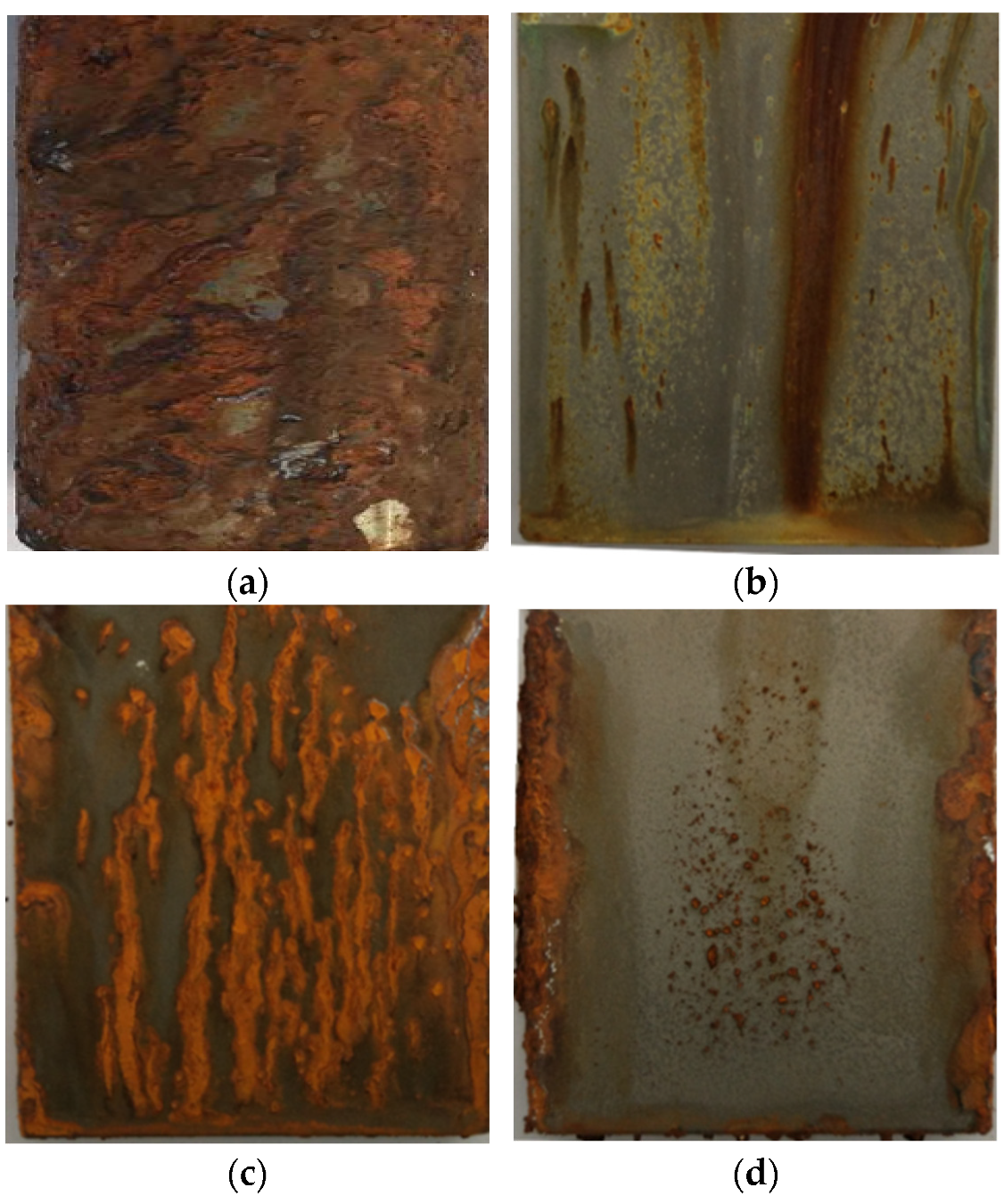 Coatings 11 01457 g008