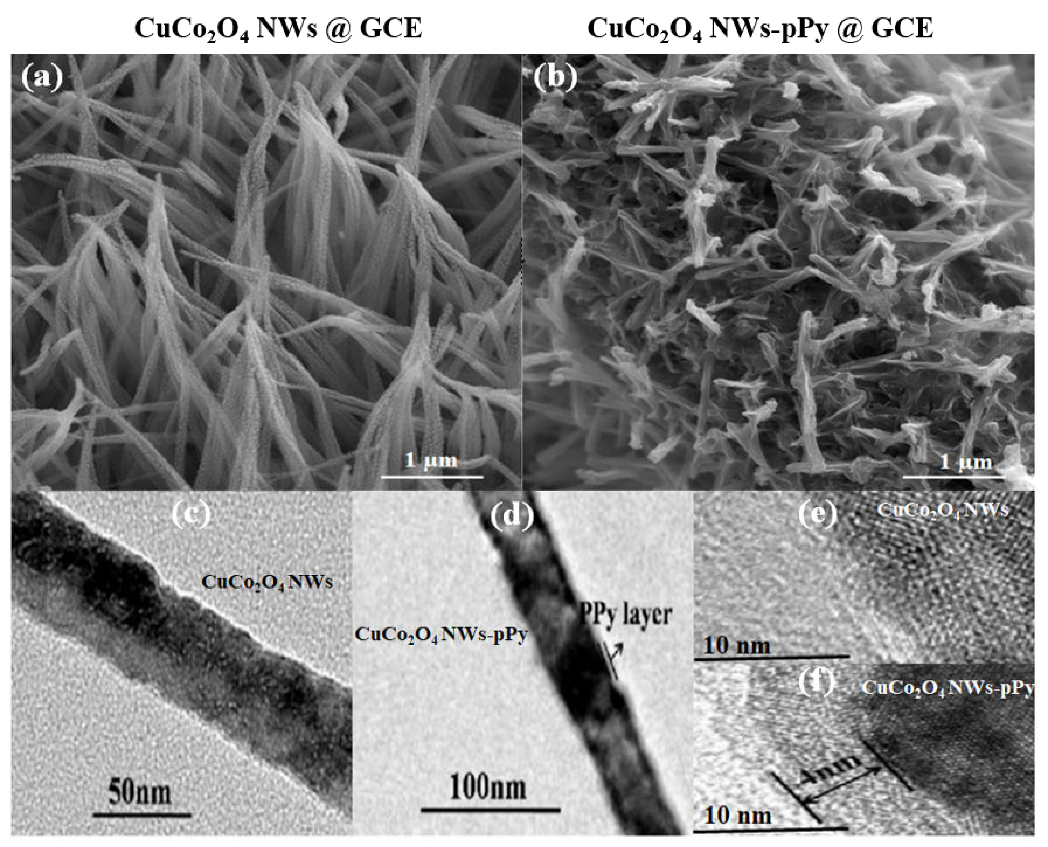 Coatings 11 01462 g001