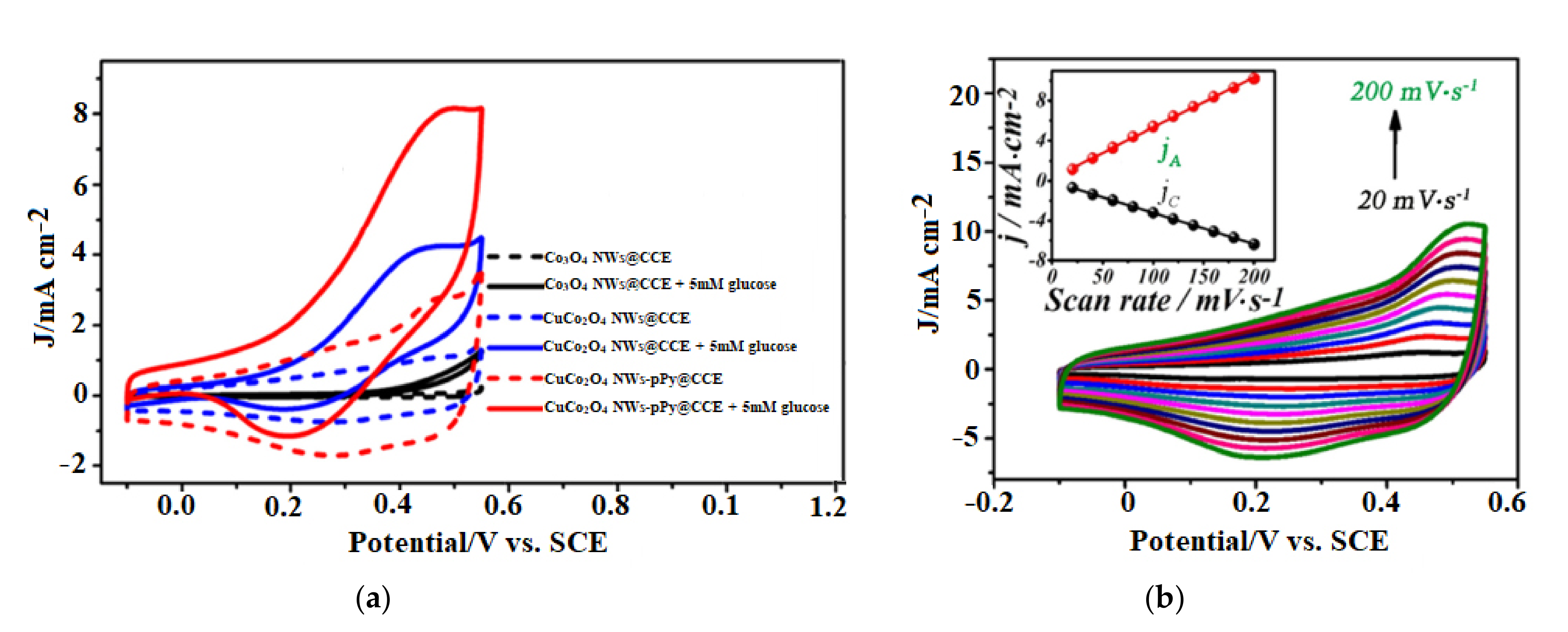 Coatings 11 01462 g003