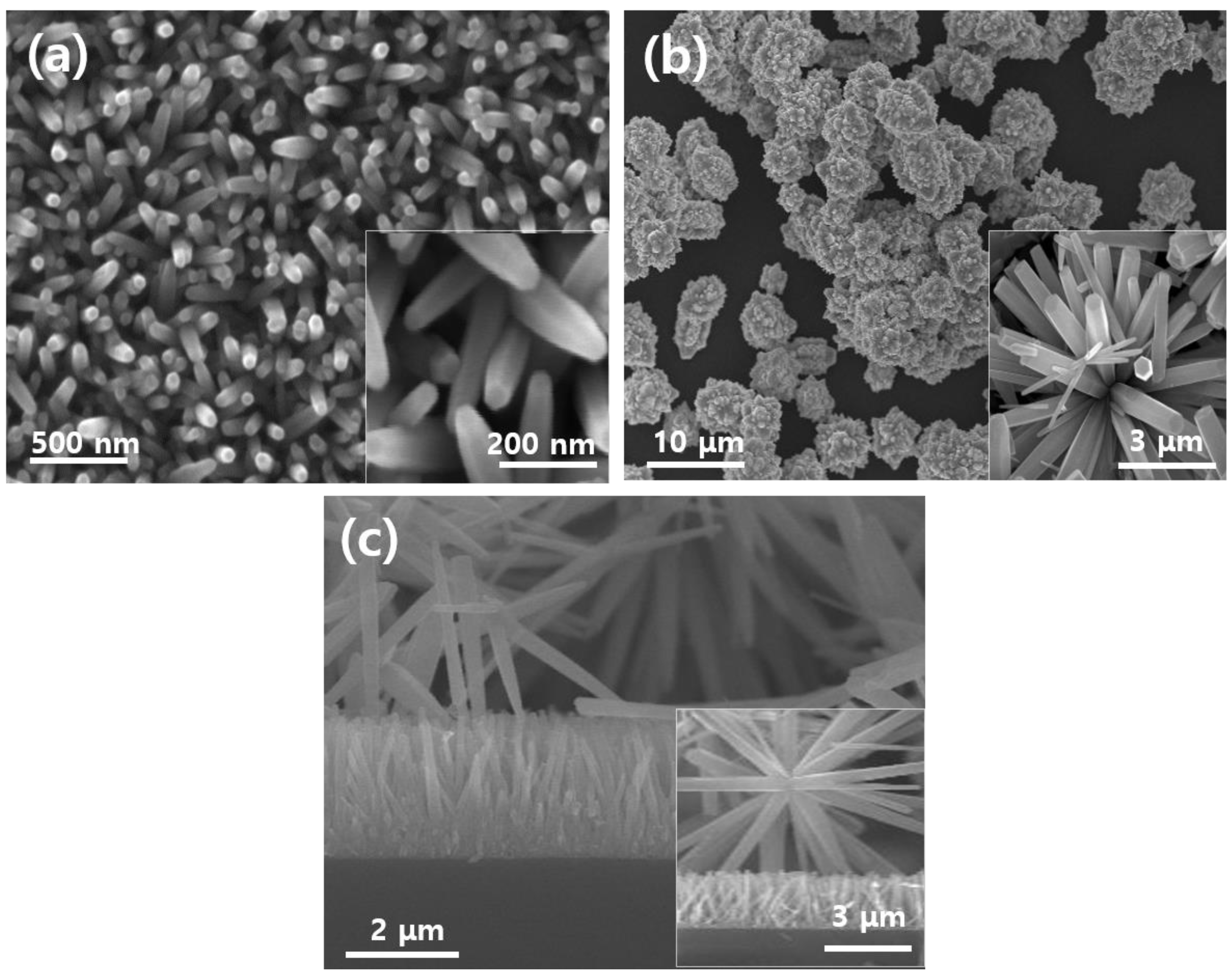 Coatings 11 01464 g001 550