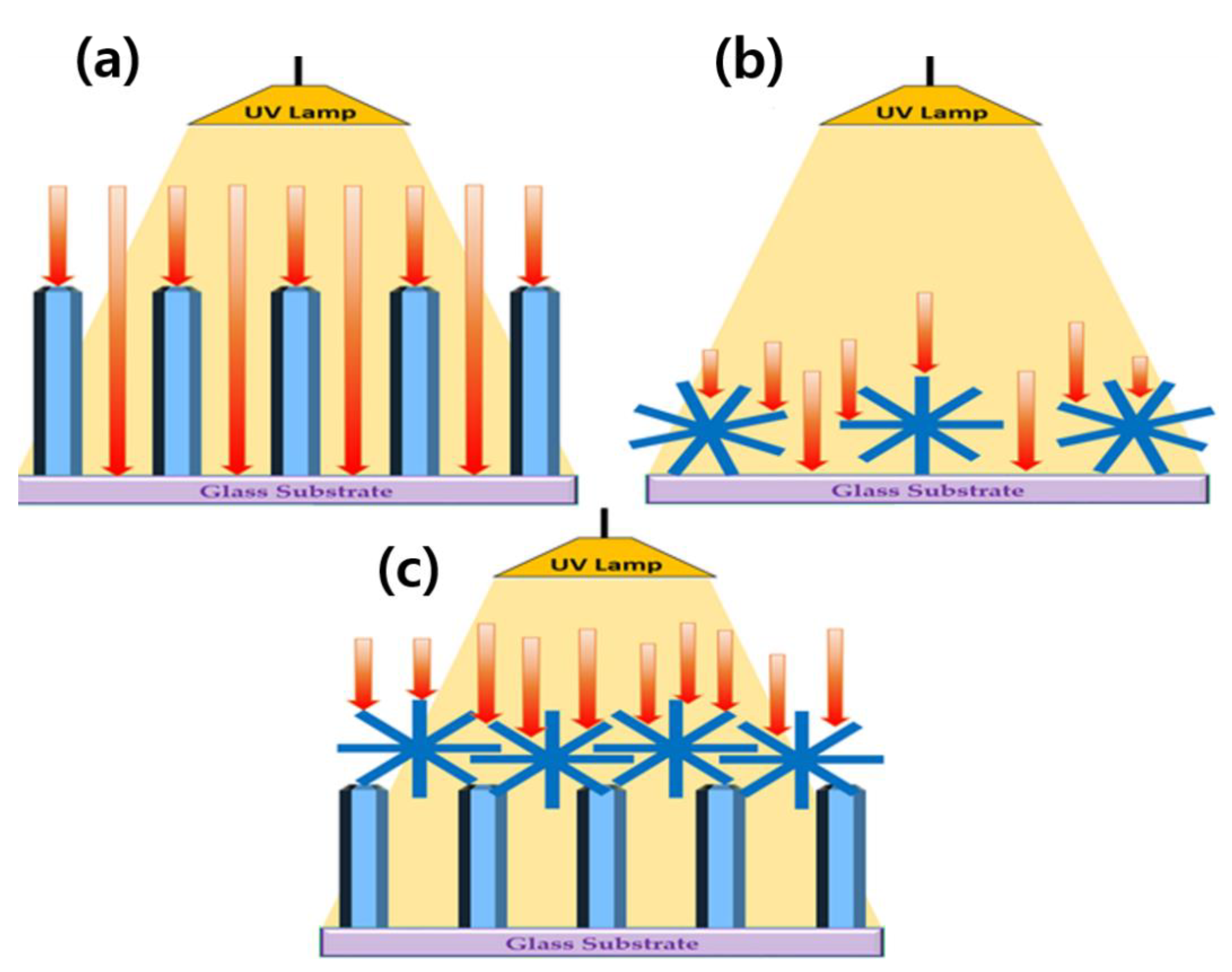 Coatings 11 01464 g007 550