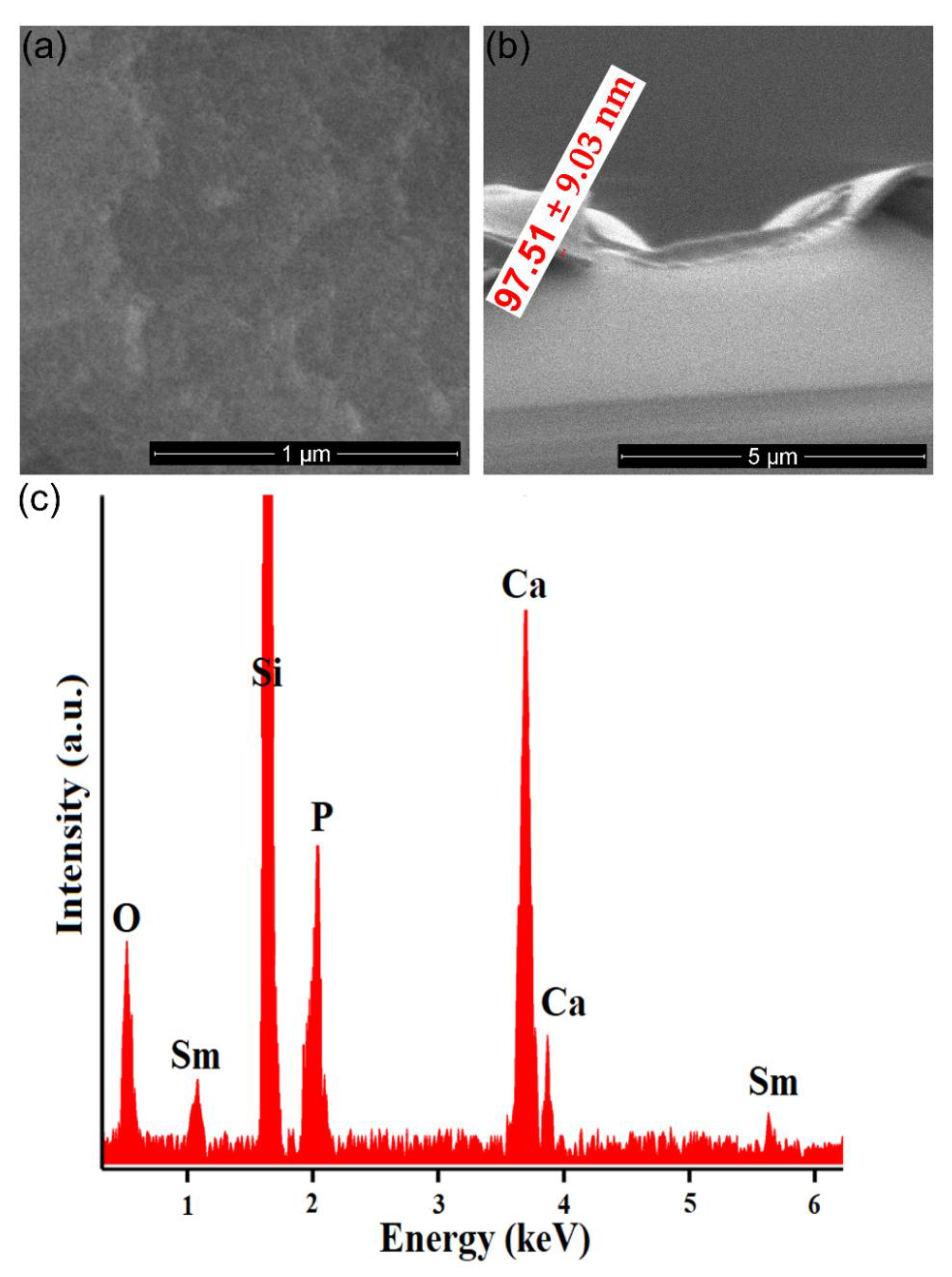Coatings 11 01466 g006
