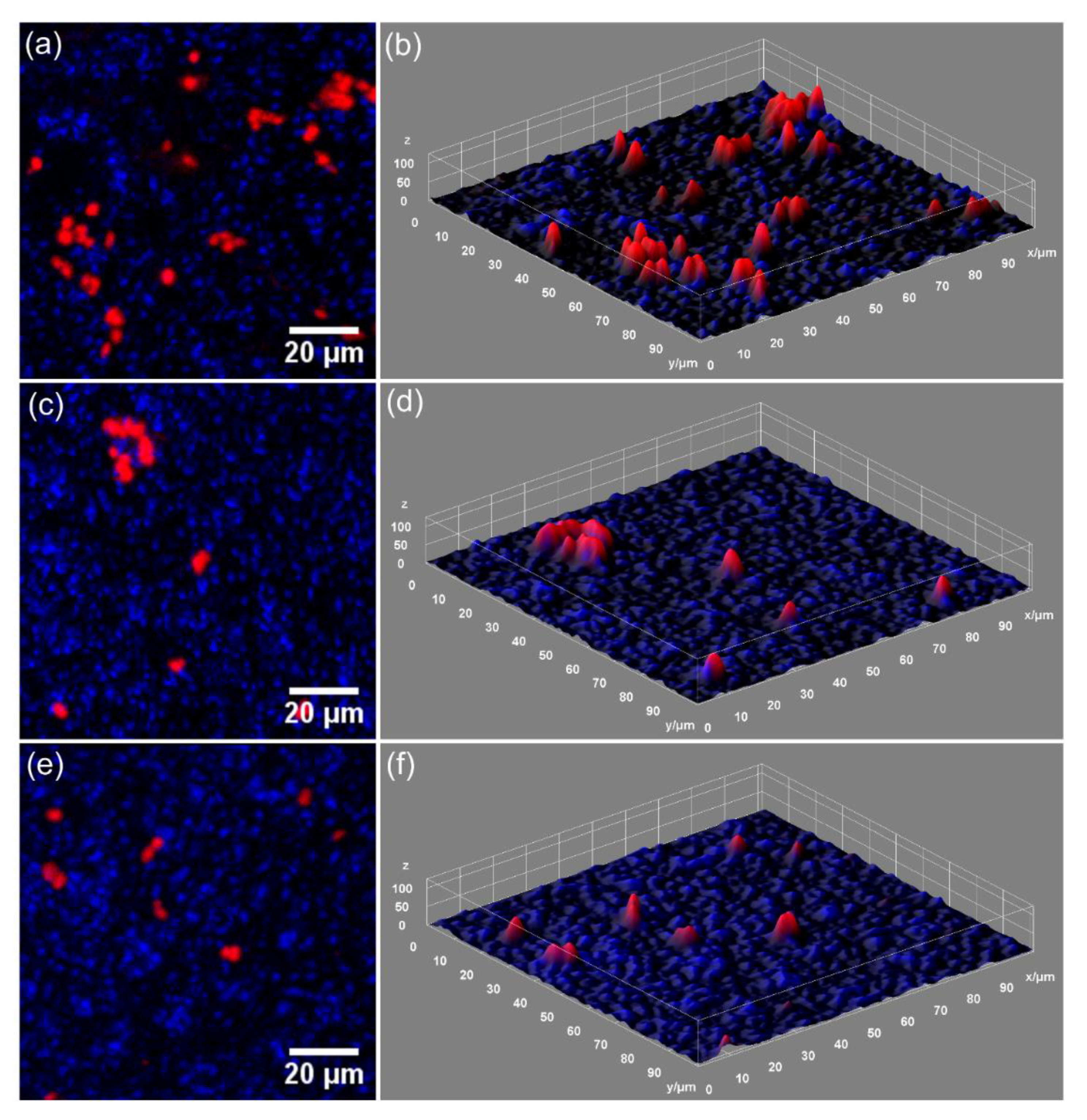 Coatings 11 01466 g013