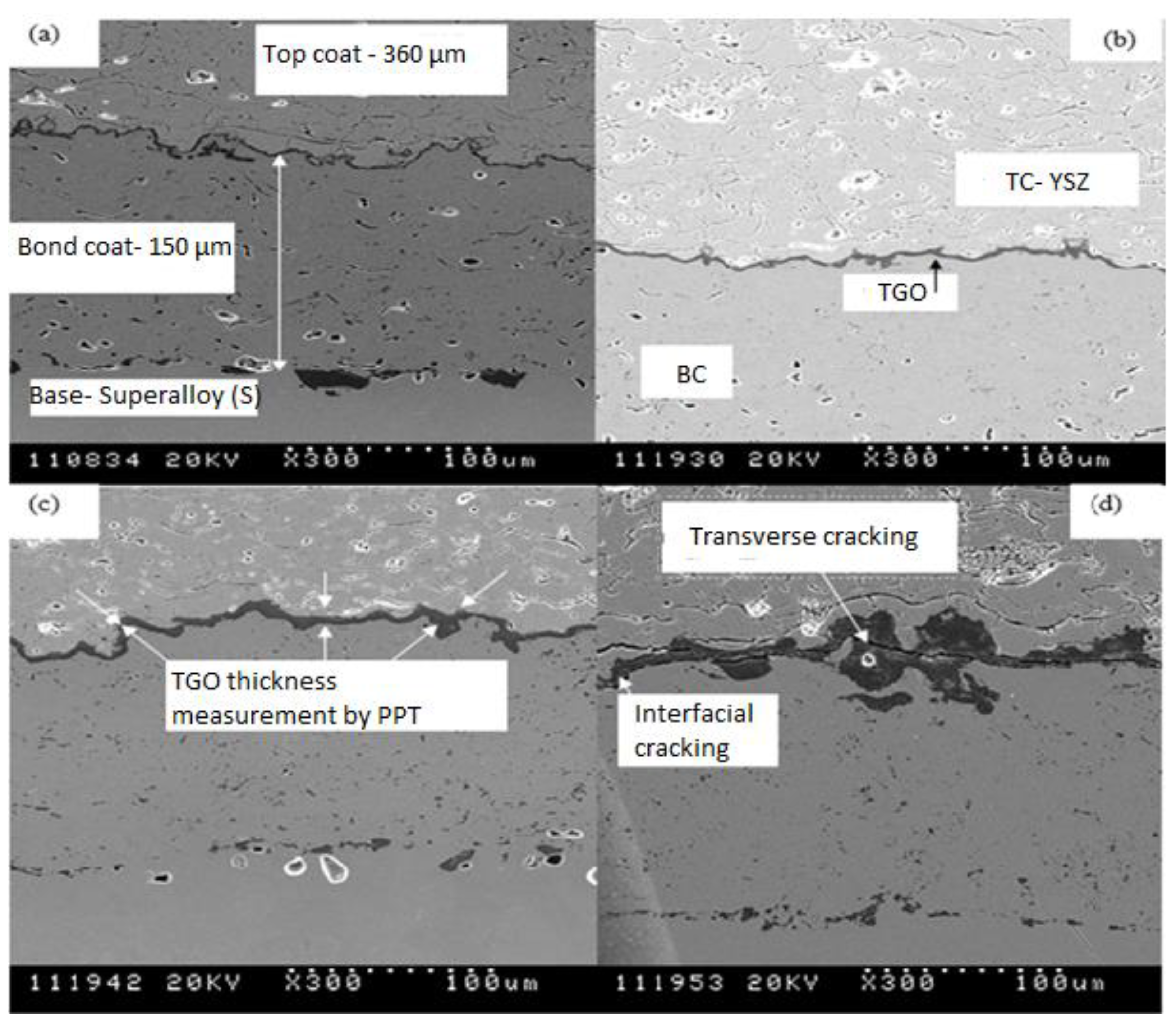 Coatings 11 01474 g002 550