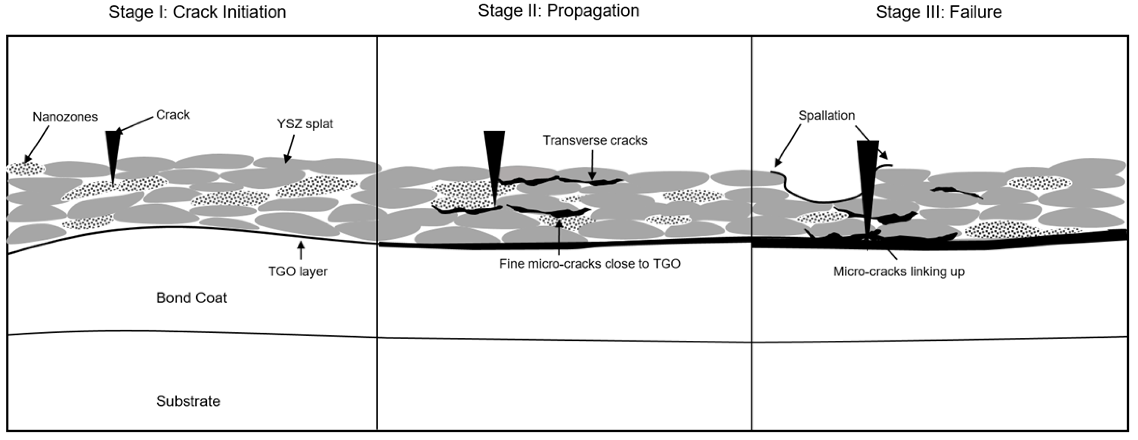 Coatings 11 01474 g008 550