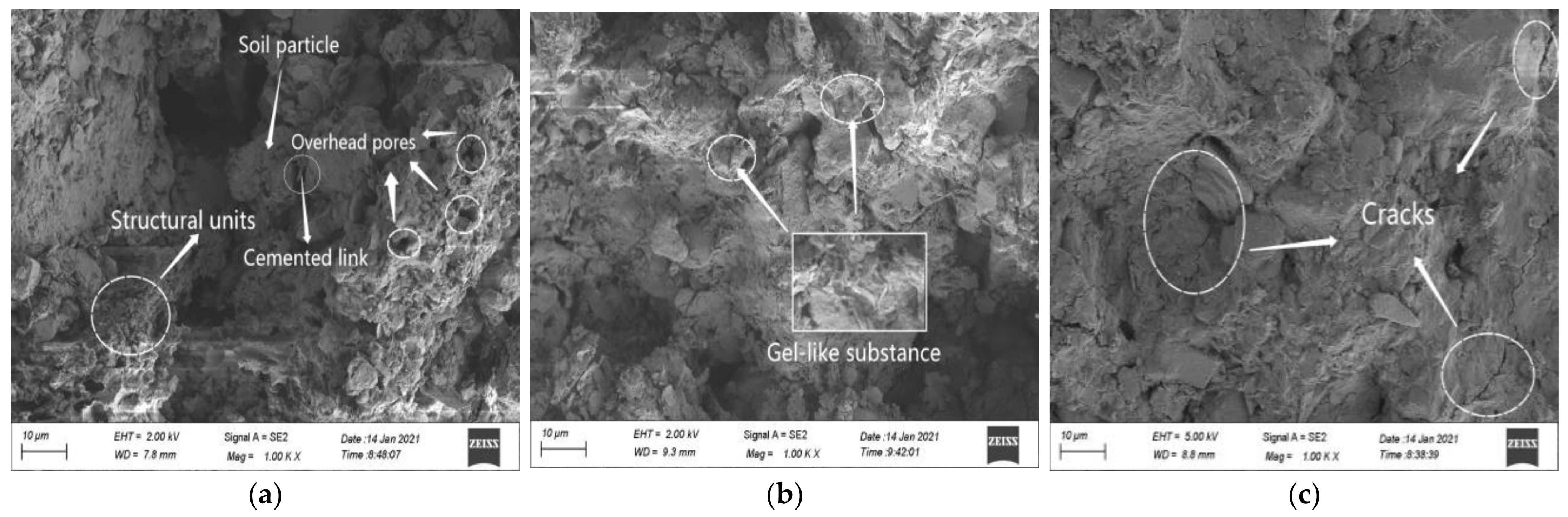 Coatings 11 01475 g007 550