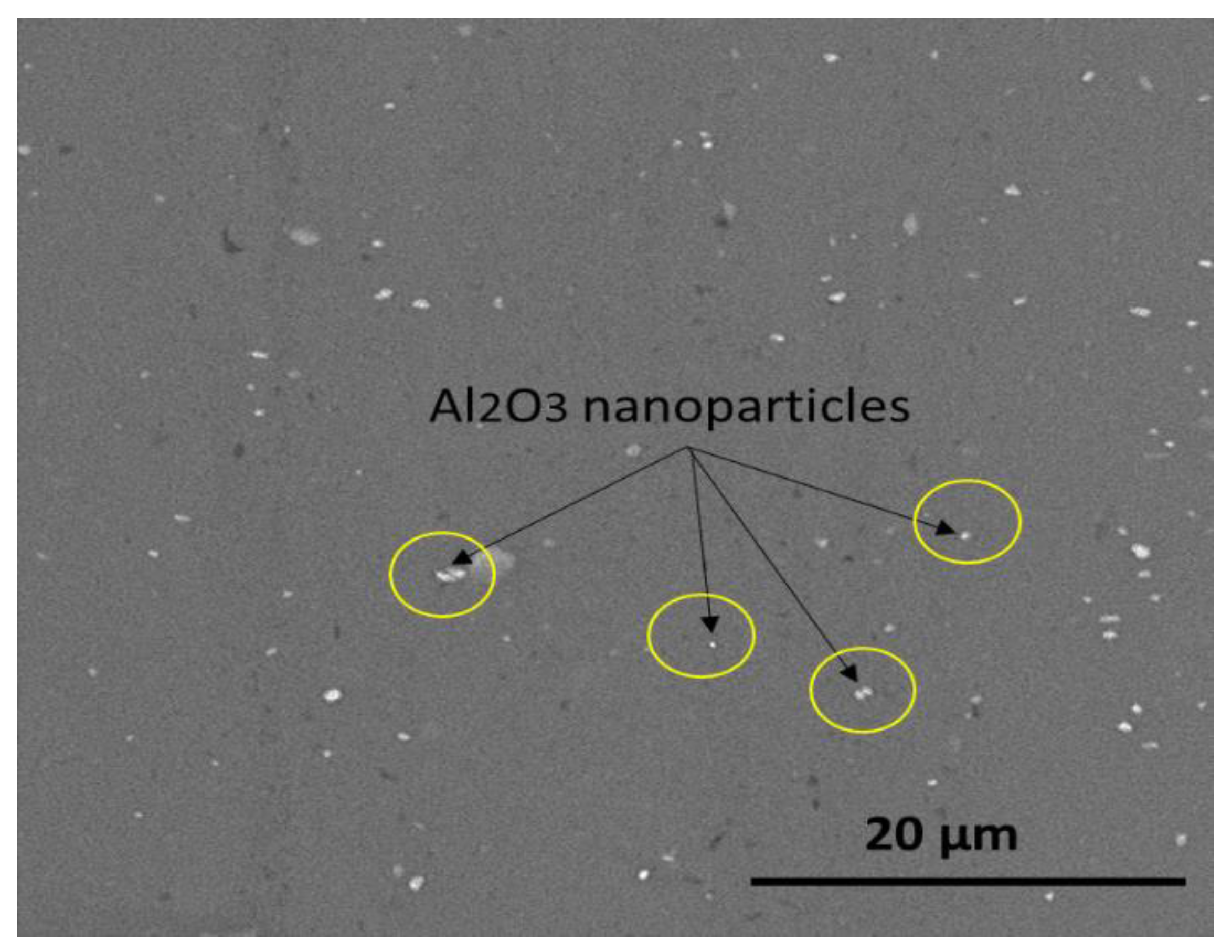 Coatings 11 01476 g007 Coatings 11 01476 g007