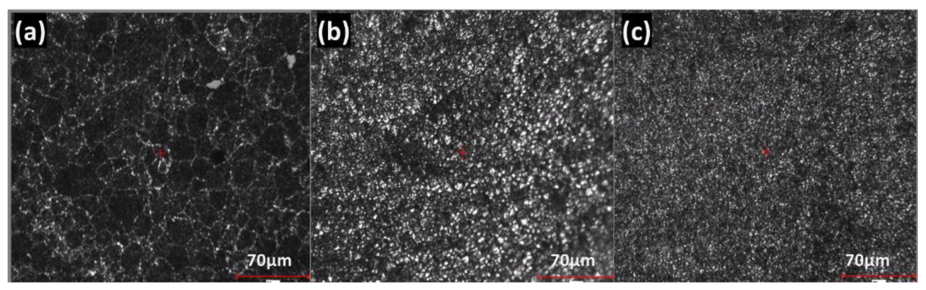 Coatings 11 01476 g009 Coatings 11 01476 g009