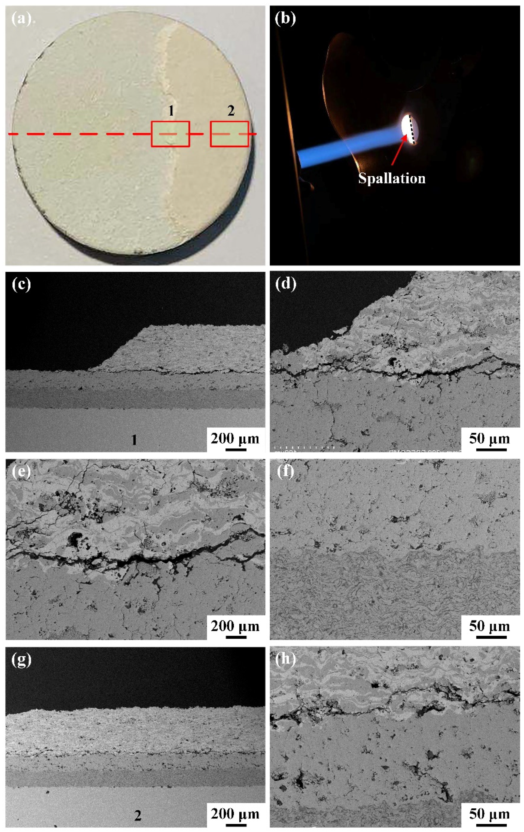 Coatings 11 01477 g007 550