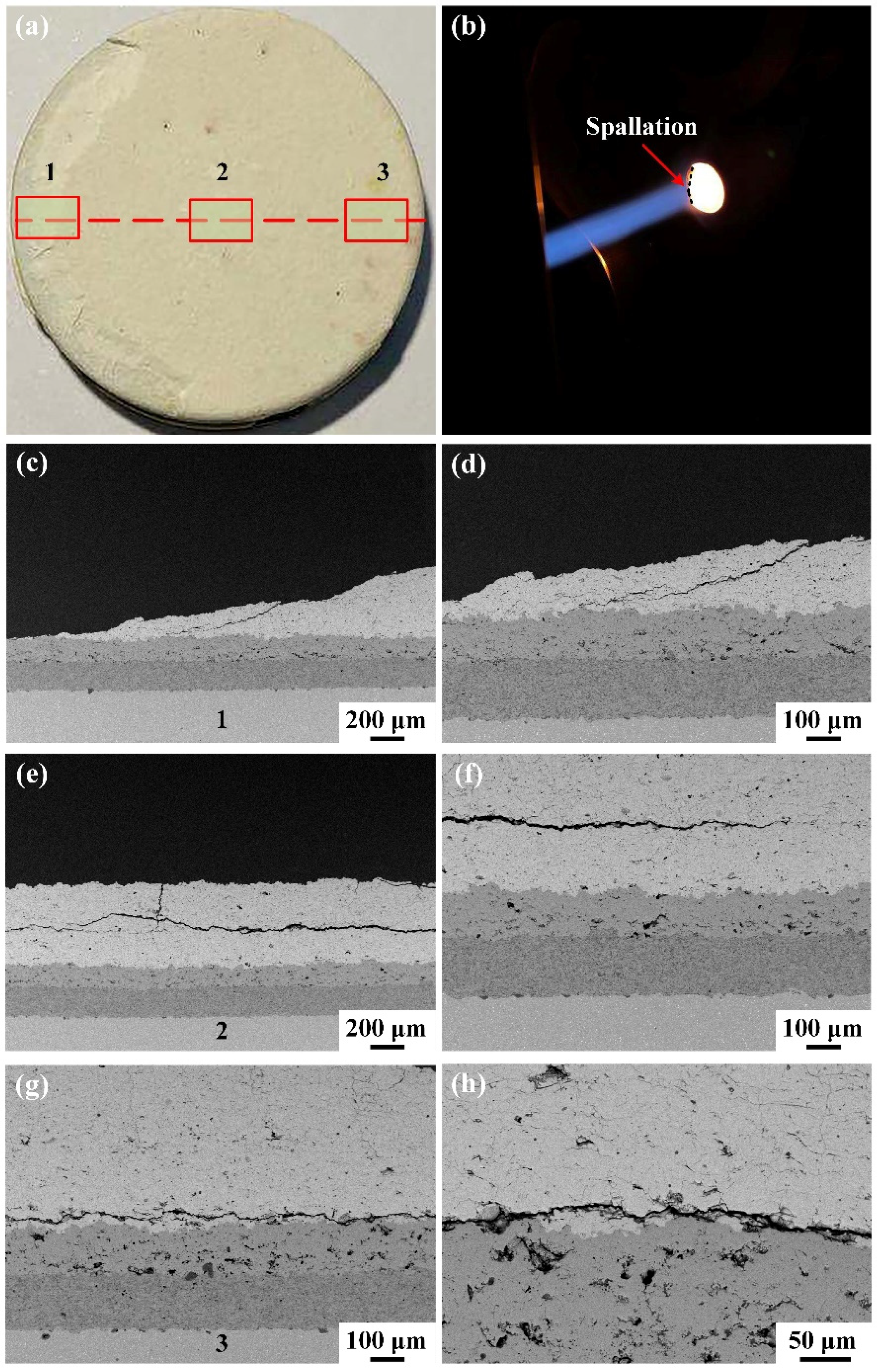 Coatings 11 01477 g008 550