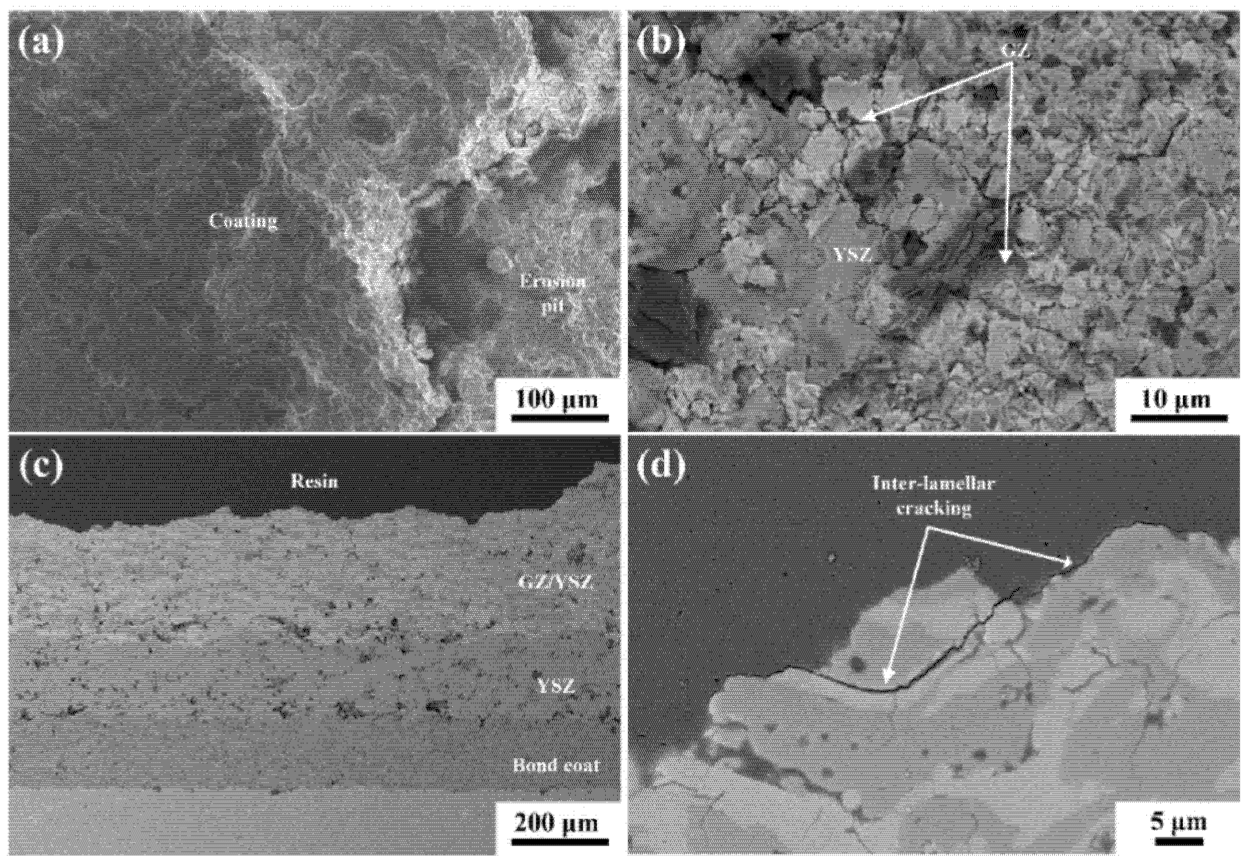 Coatings 11 01477 g011 550