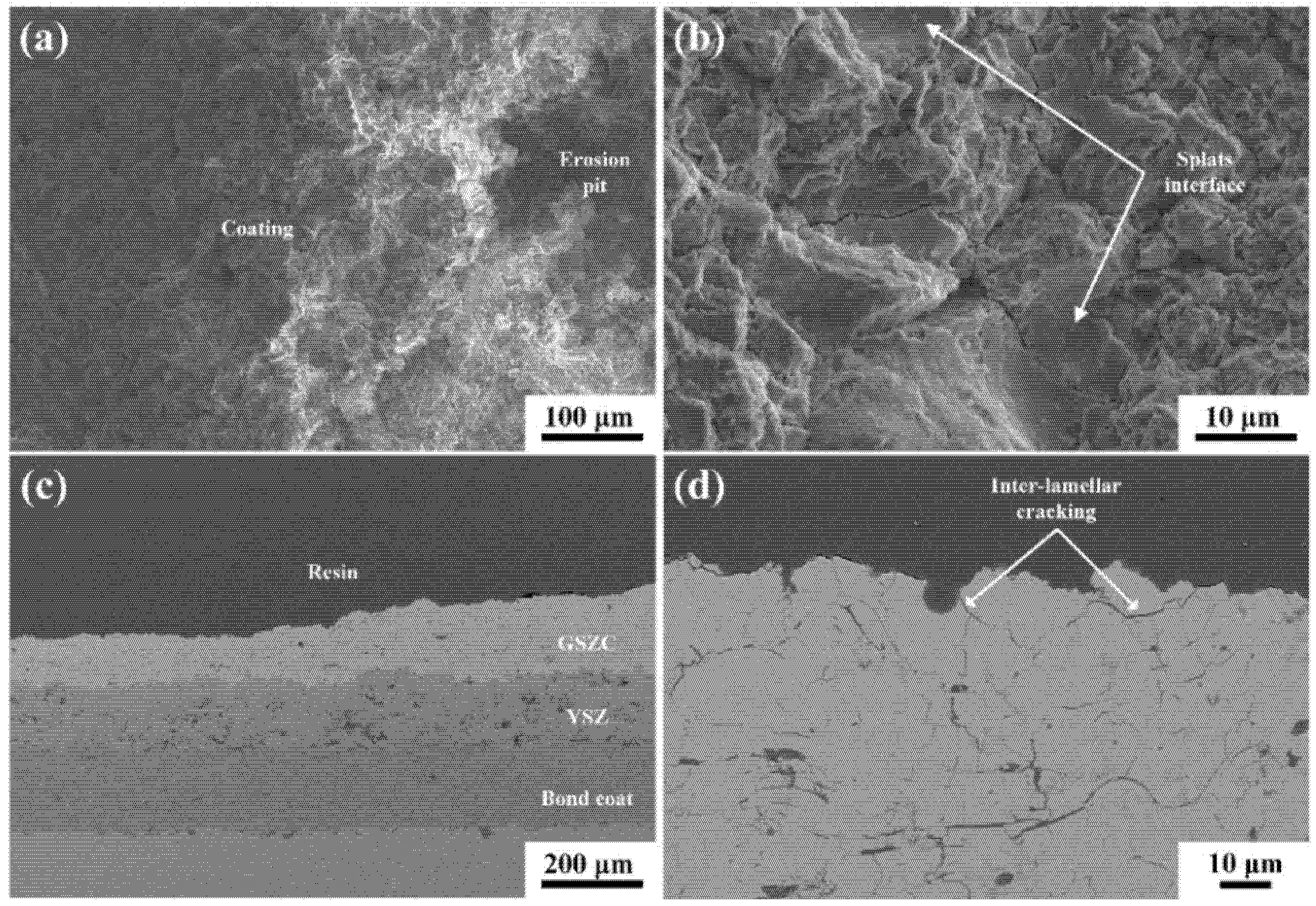 Coatings 11 01477 g012 550