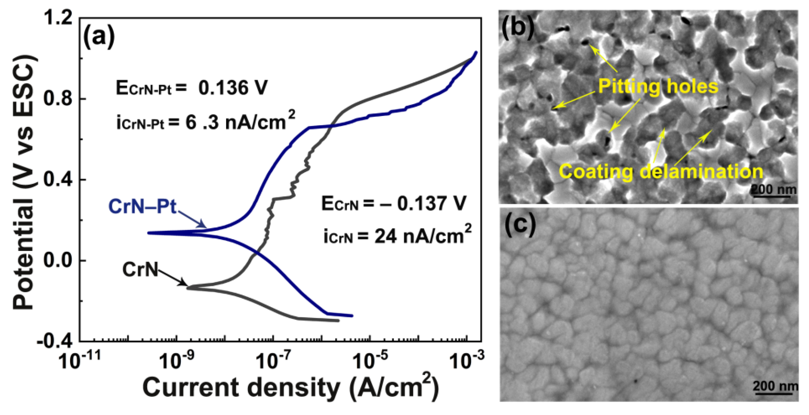 Coatings 11 01479 g006