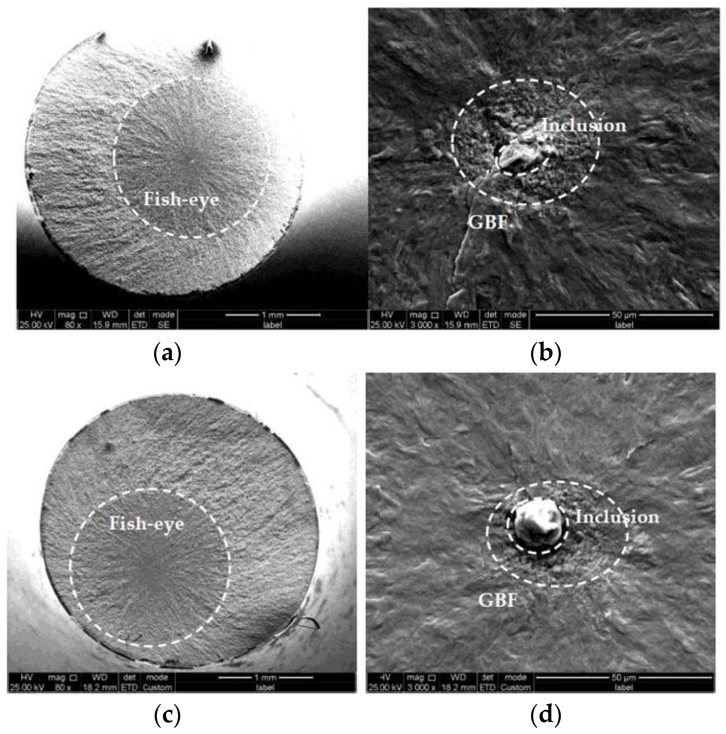 Coatings 11 01482 g008